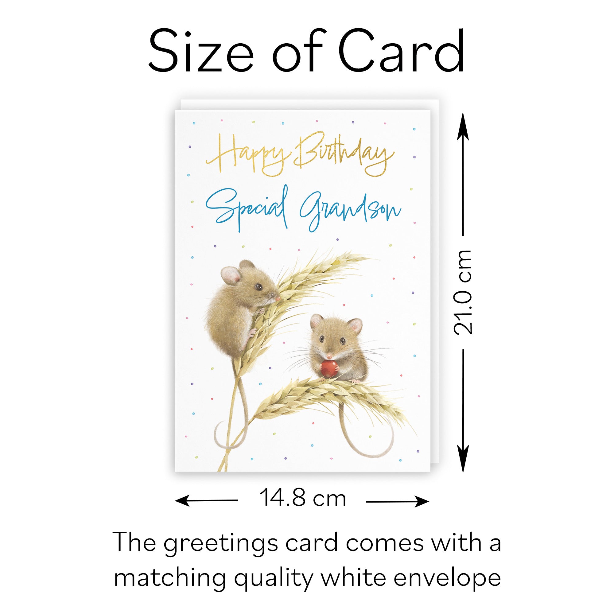 Grandson Gold Foil Birthday Card Harvest Mice Milo's Gallery - Default Title (B0DG33T6QM)