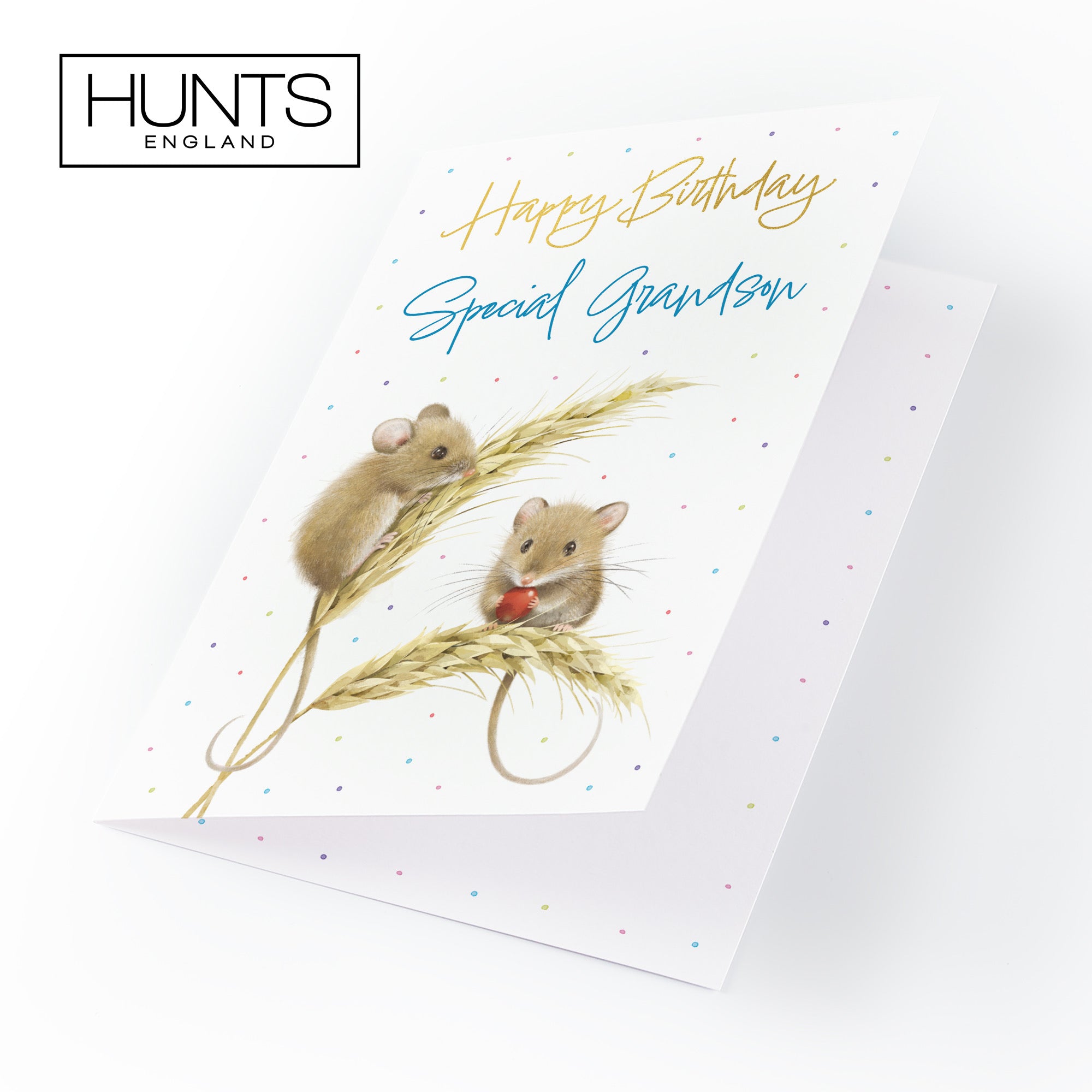 Grandson Gold Foil Birthday Card Harvest Mice Milo's Gallery - Default Title (B0DG33T6QM)