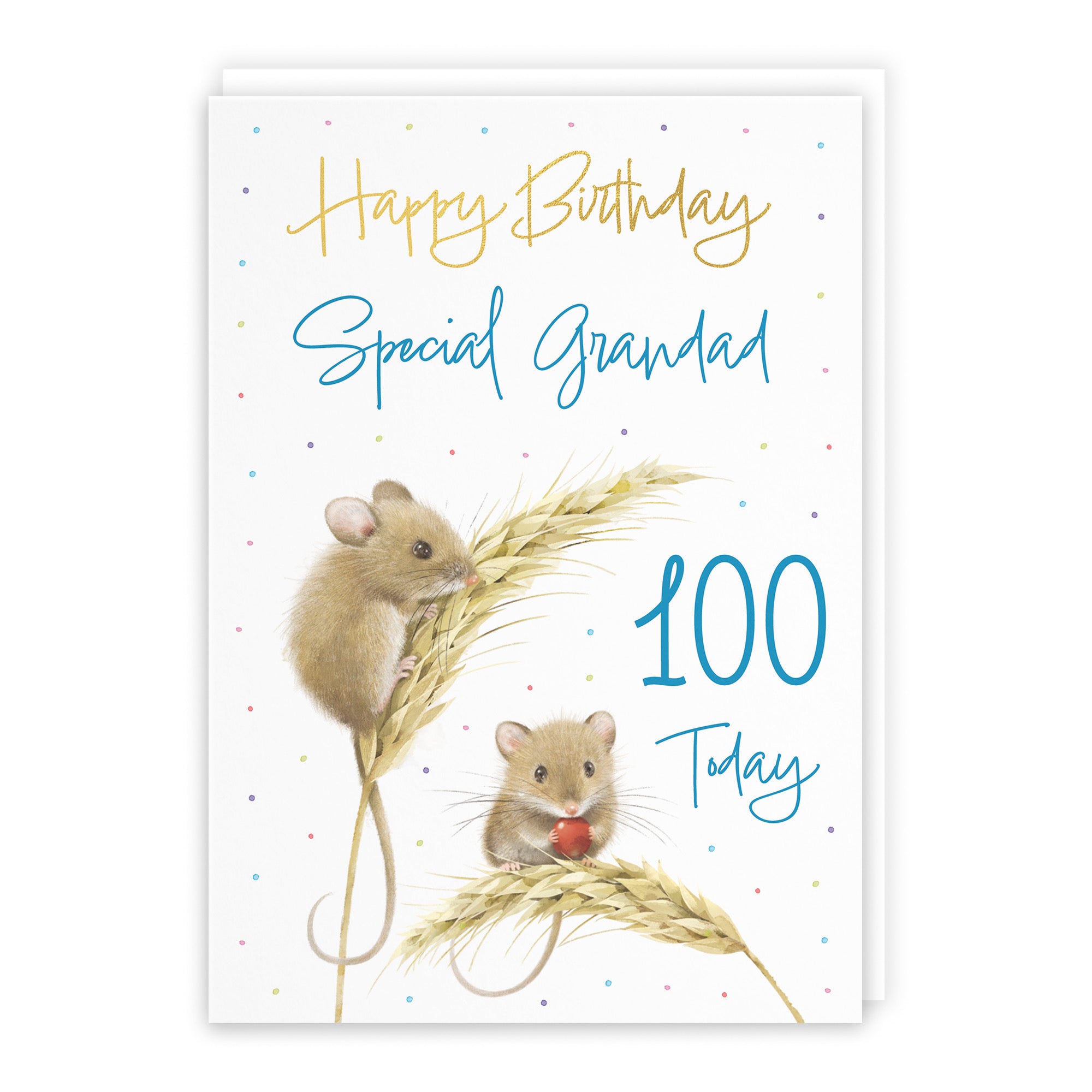 100th Grandad Gold Foil Birthday Card Harvest Mice Milo's Gallery - Default Title (B0DG33VCLR)