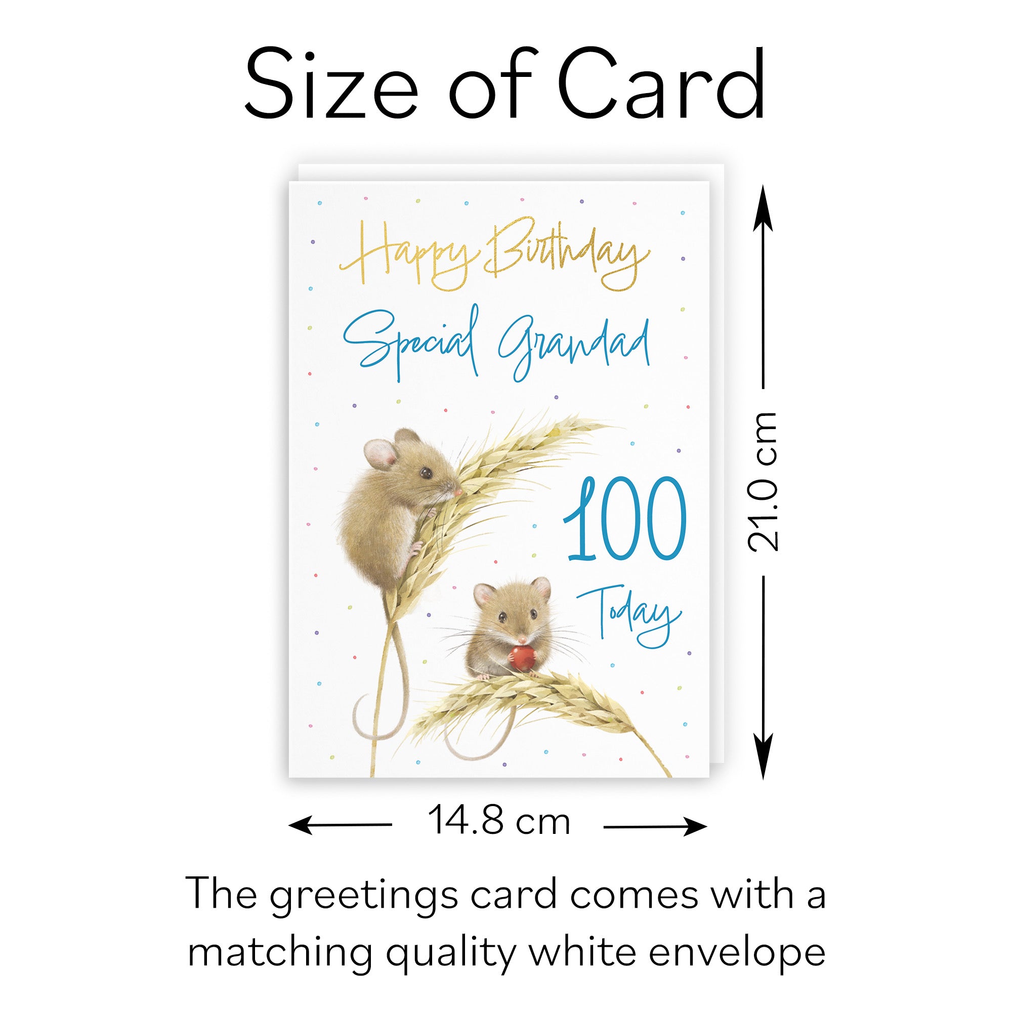 100th Grandad Gold Foil Birthday Card Harvest Mice Milo's Gallery - Default Title (B0DG33VCLR)