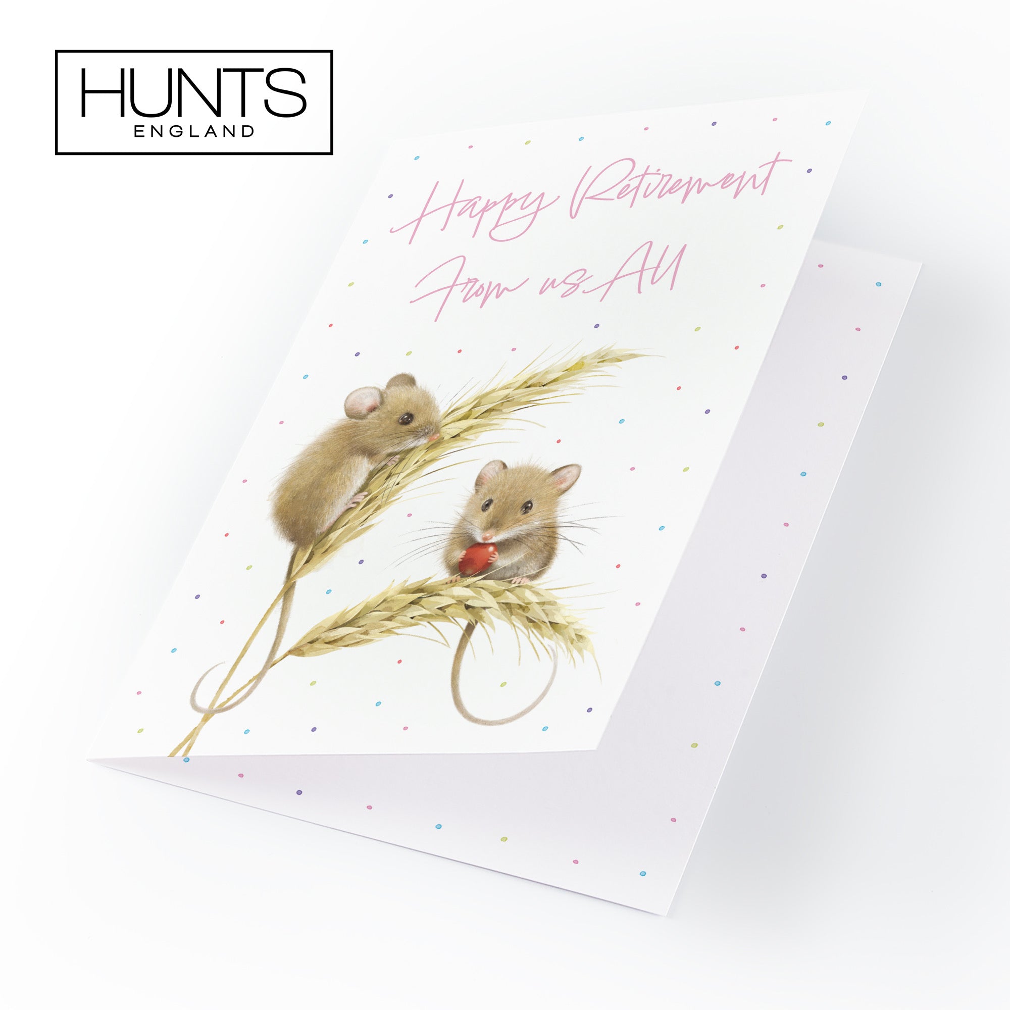 Female Retirement Card From Us All Harvest Mice Milo's Gallery - Default Title (B0DG33XFR2)