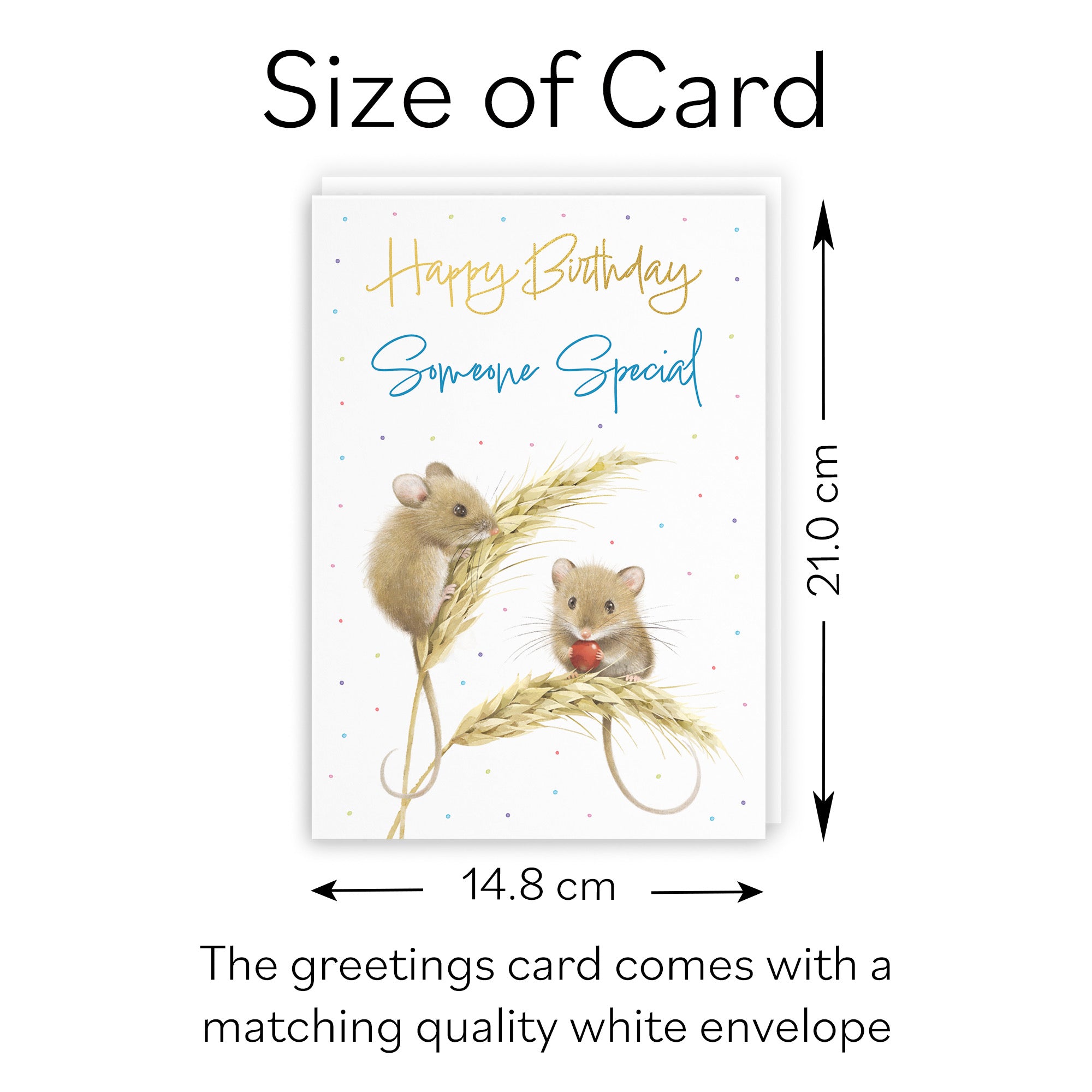 Male Someone Special Gold Foil Birthday Card Harvest Mice Milo's Gallery - Default Title (B0DG33XRSJ)