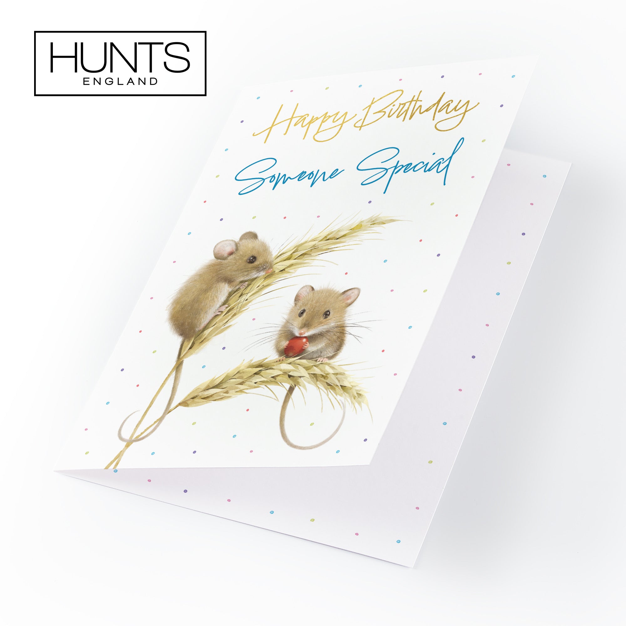 Male Someone Special Gold Foil Birthday Card Harvest Mice Milo's Gallery - Default Title (B0DG33XRSJ)