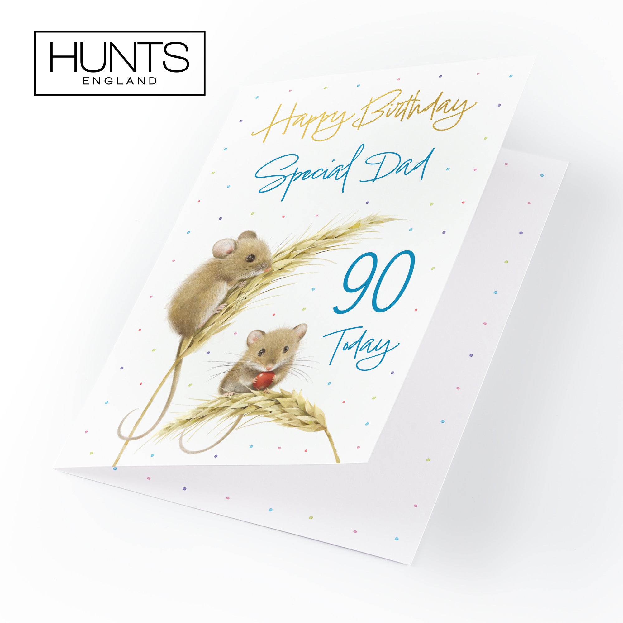 90th Dad Gold Foil Birthday Card Harvest Mice Milo's Gallery - Default Title (B0DG341P7J)