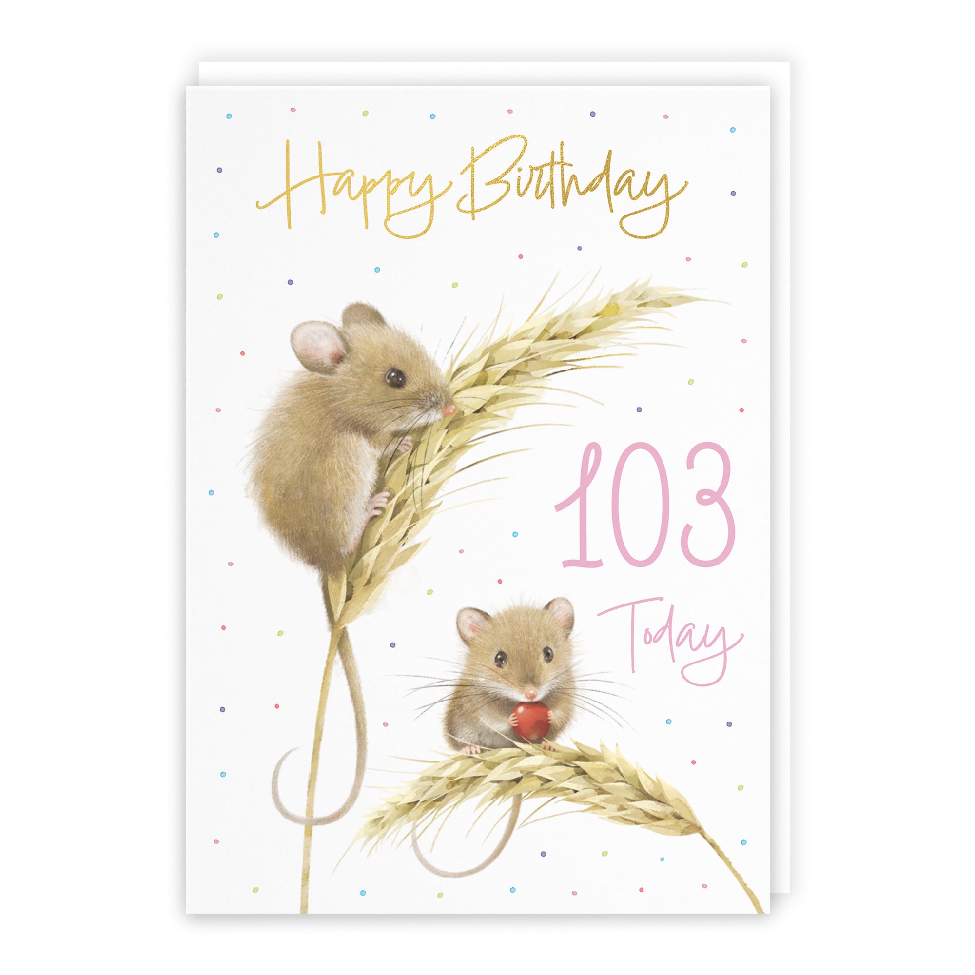 Female 103rd Gold Foil Birthday Card Harvest Mice Milo's Gallery - Default Title (B0DG34387Y)