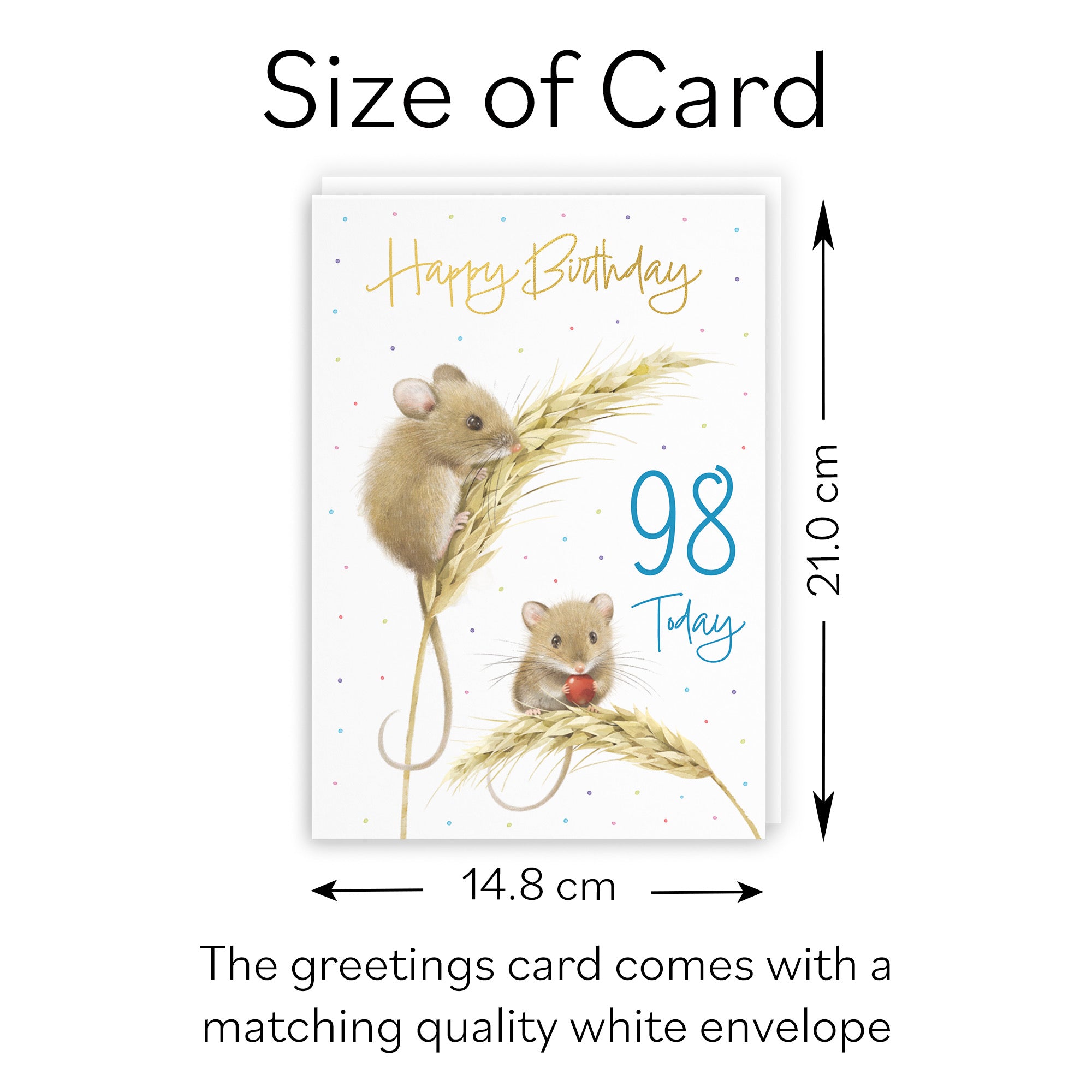 Male 98th Gold Foil Birthday Card Harvest Mice Milo's Gallery - Default Title (B0DG347C6X)