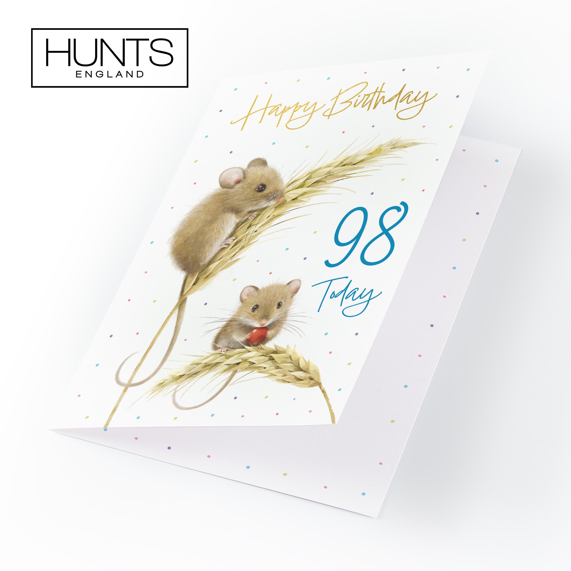 Male 98th Gold Foil Birthday Card Harvest Mice Milo's Gallery - Default Title (B0DG347C6X)