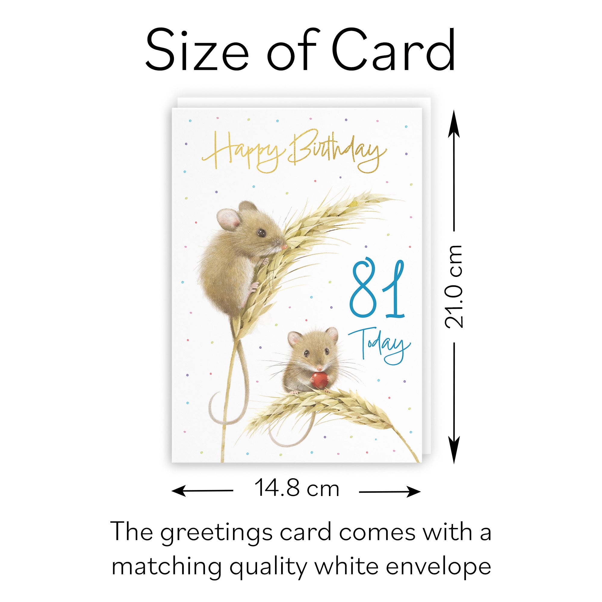 Male 81st Gold Foil Birthday Card Harvest Mice Milo's Gallery - Default Title (B0DG347VDQ)