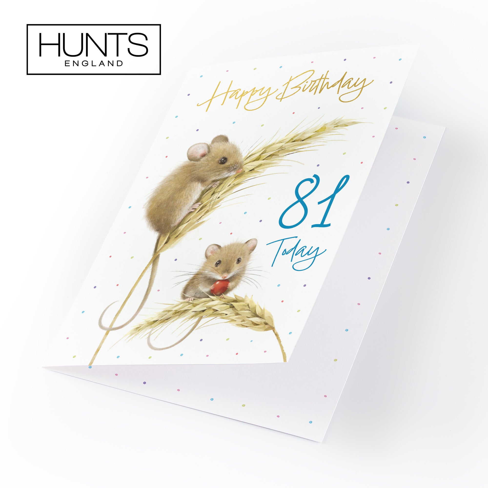 Male 81st Gold Foil Birthday Card Harvest Mice Milo's Gallery - Default Title (B0DG347VDQ)