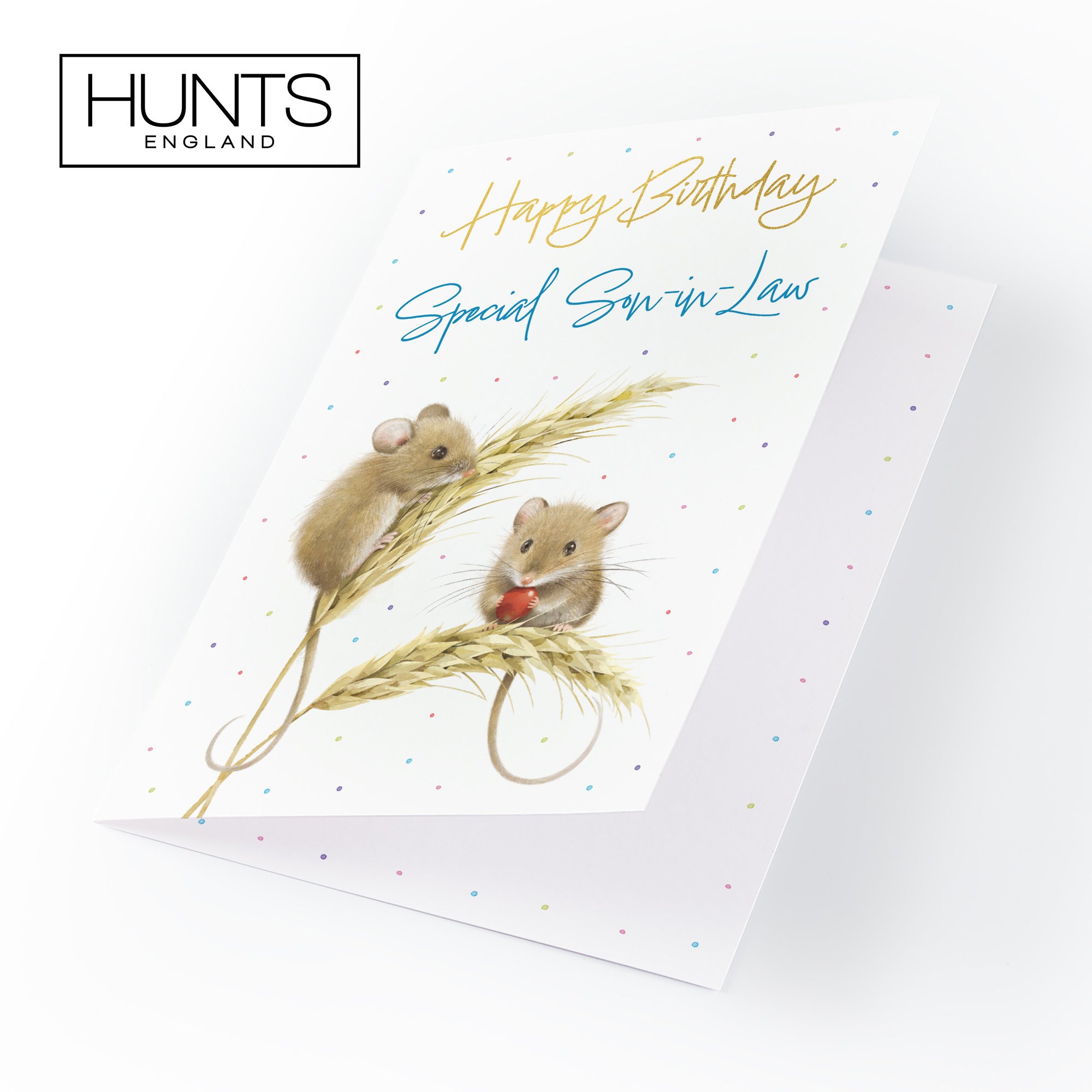 Son In Law Gold Foil Birthday Card Harvest Mice Milo's Gallery - Default Title (B0DG34BF1R)