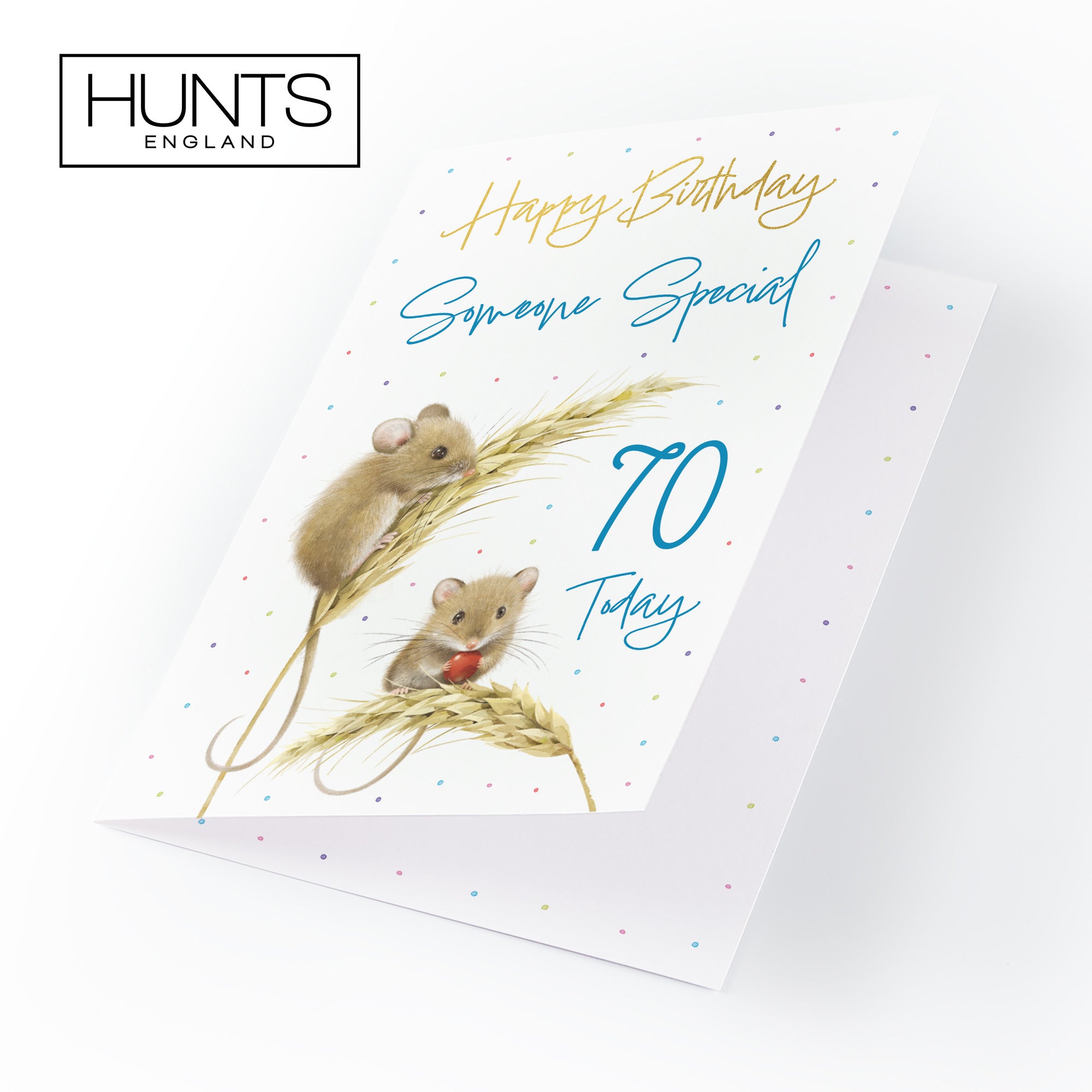 70th Someone Special Male Gold Foil Birthday Card Harvest Mice Milo's Gallery - Default Title (B0DG34BG7P)