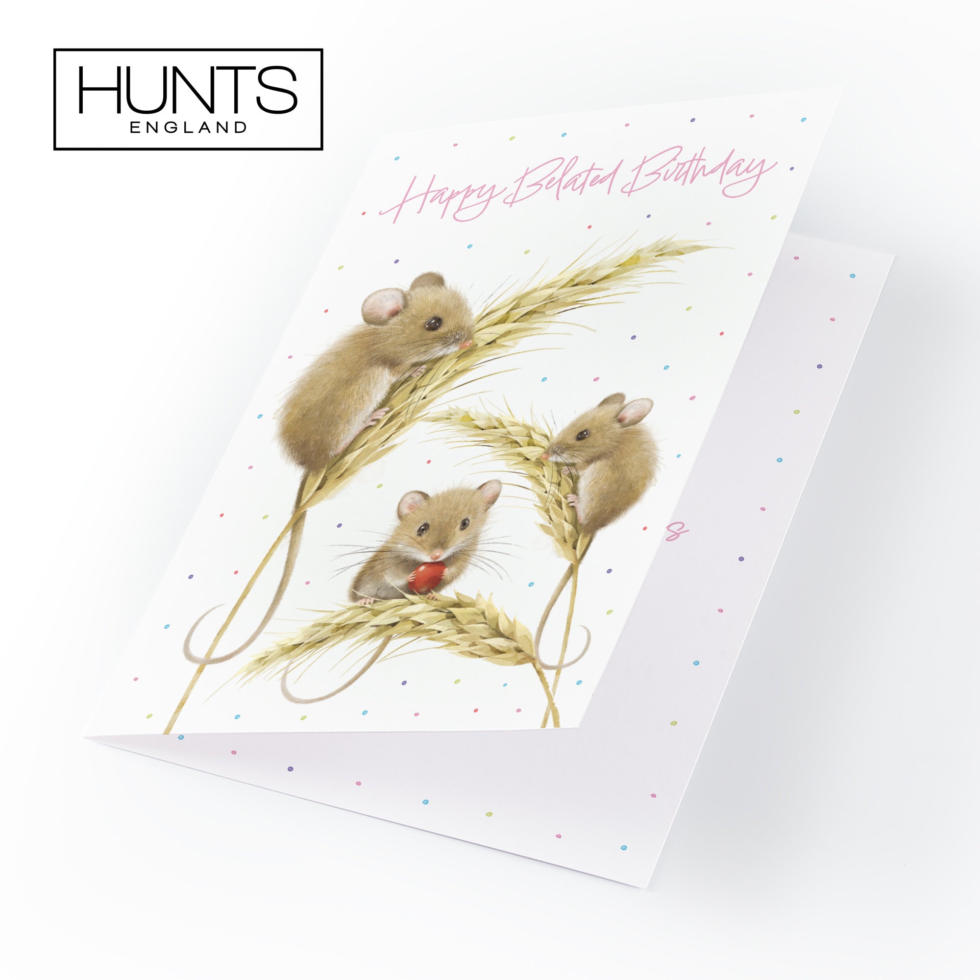 Female Belated Birthday Card Harvest Mice Milo's Gallery - Default Title (B0DG34HC81)