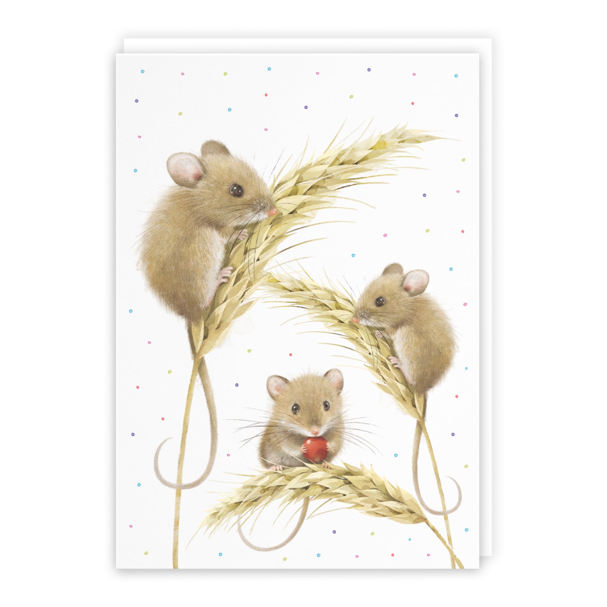 Harvest Mice Blank Any Occasion Card Milo's Gallery - Default Title (B0DG34HTFW)