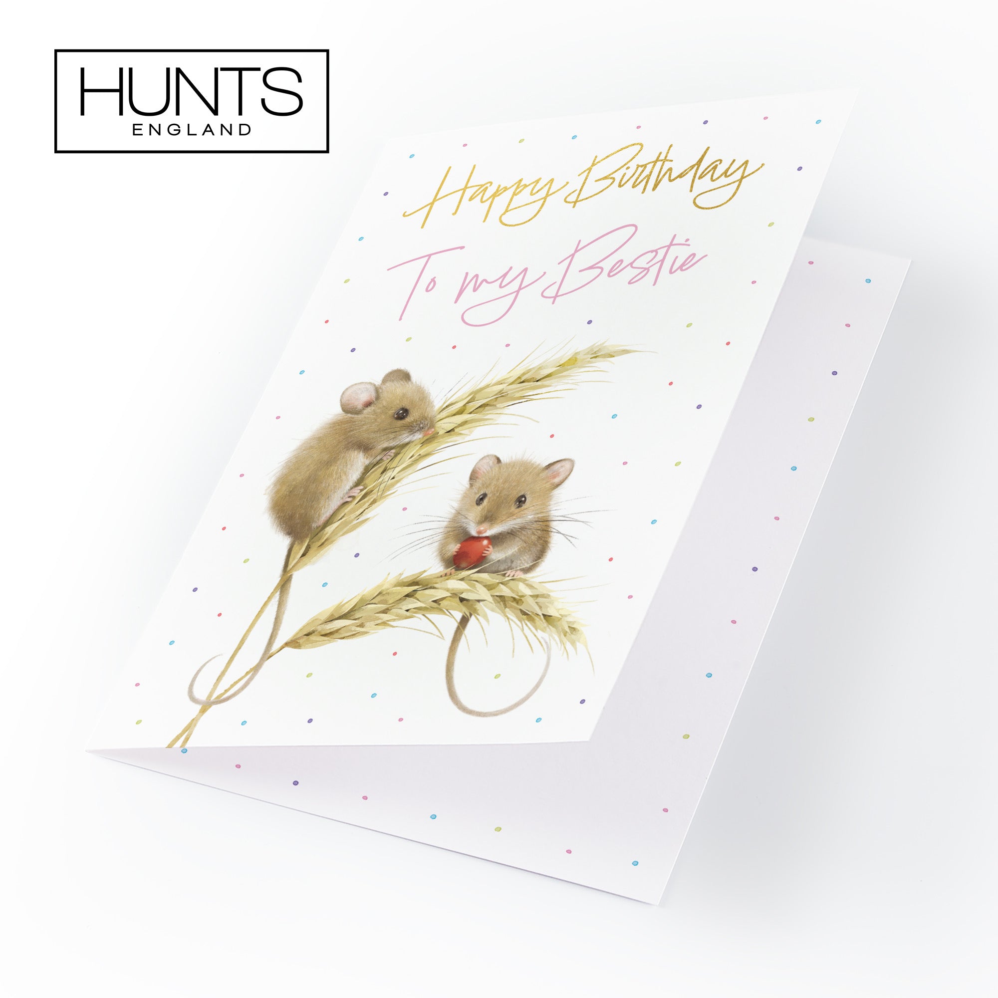 Female Bestie Gold Foil Birthday Card Harvest Mice Milo's Gallery - Default Title (B0DG34KQW1)