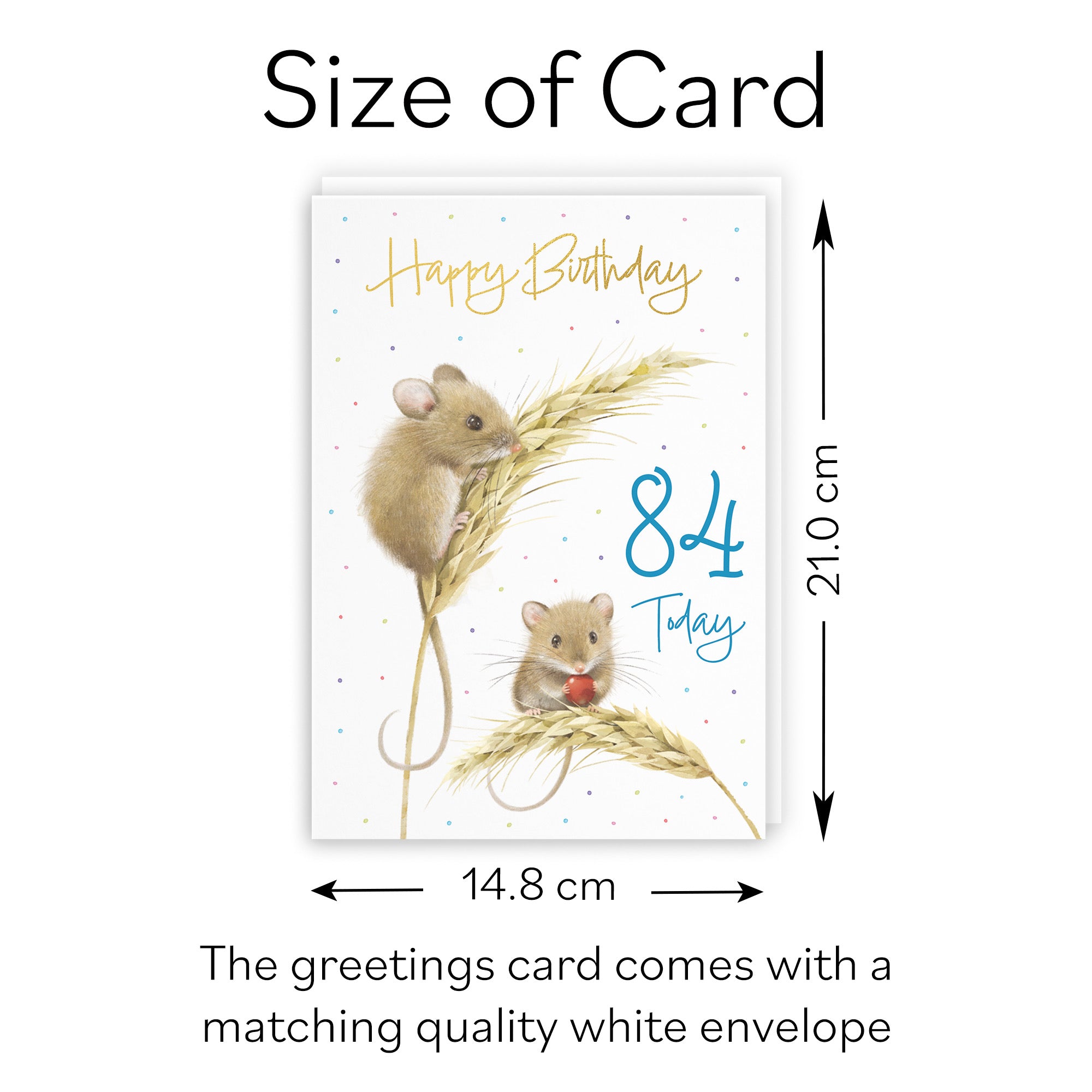 Male 84th Gold Foil Birthday Card Harvest Mice Milo's Gallery - Default Title (B0DG34KR6P)