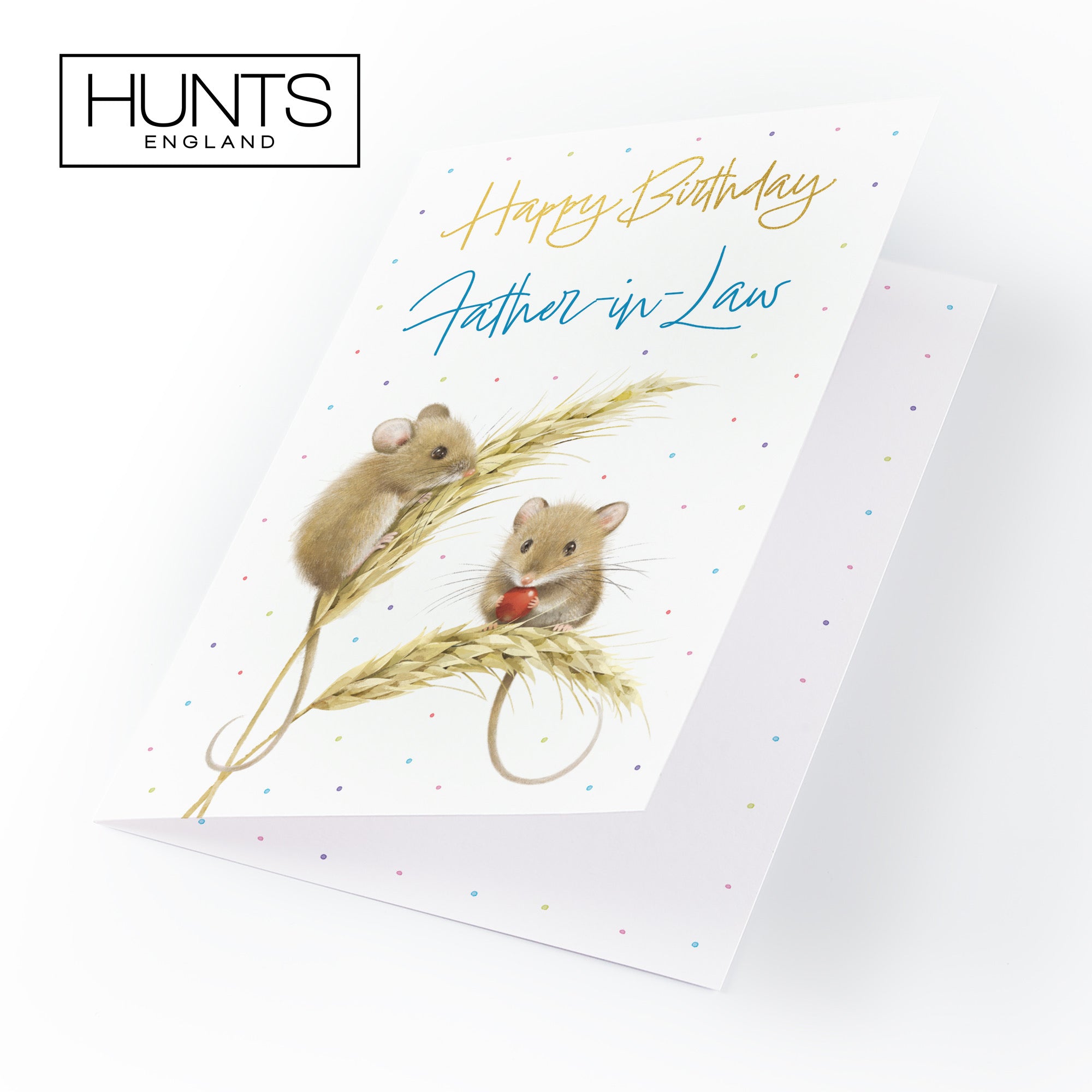 Father In Law Gold Foil Birthday Card Harvest Mice Milo's Gallery - Default Title (B0DG34RQXC)