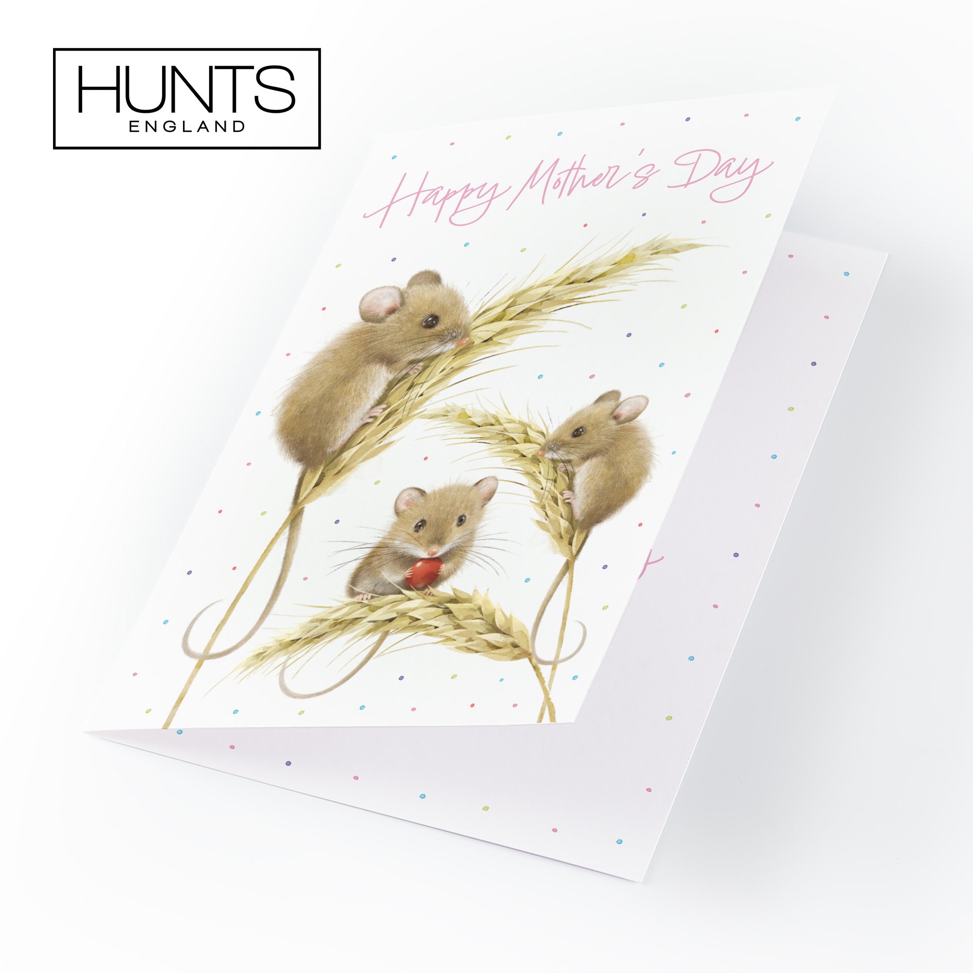 Mother's Day Card Harvest Mice Milo's Gallery - Default Title (B0DG34WD46)