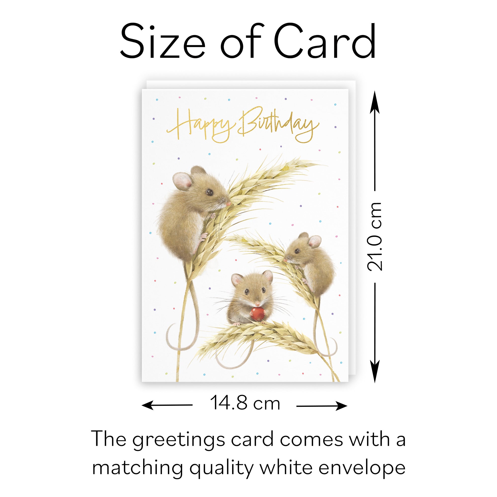 Male Gold Foil Birthday Card Harvest Mice Milo's Gallery - Default Title (B0DG352HCJ)