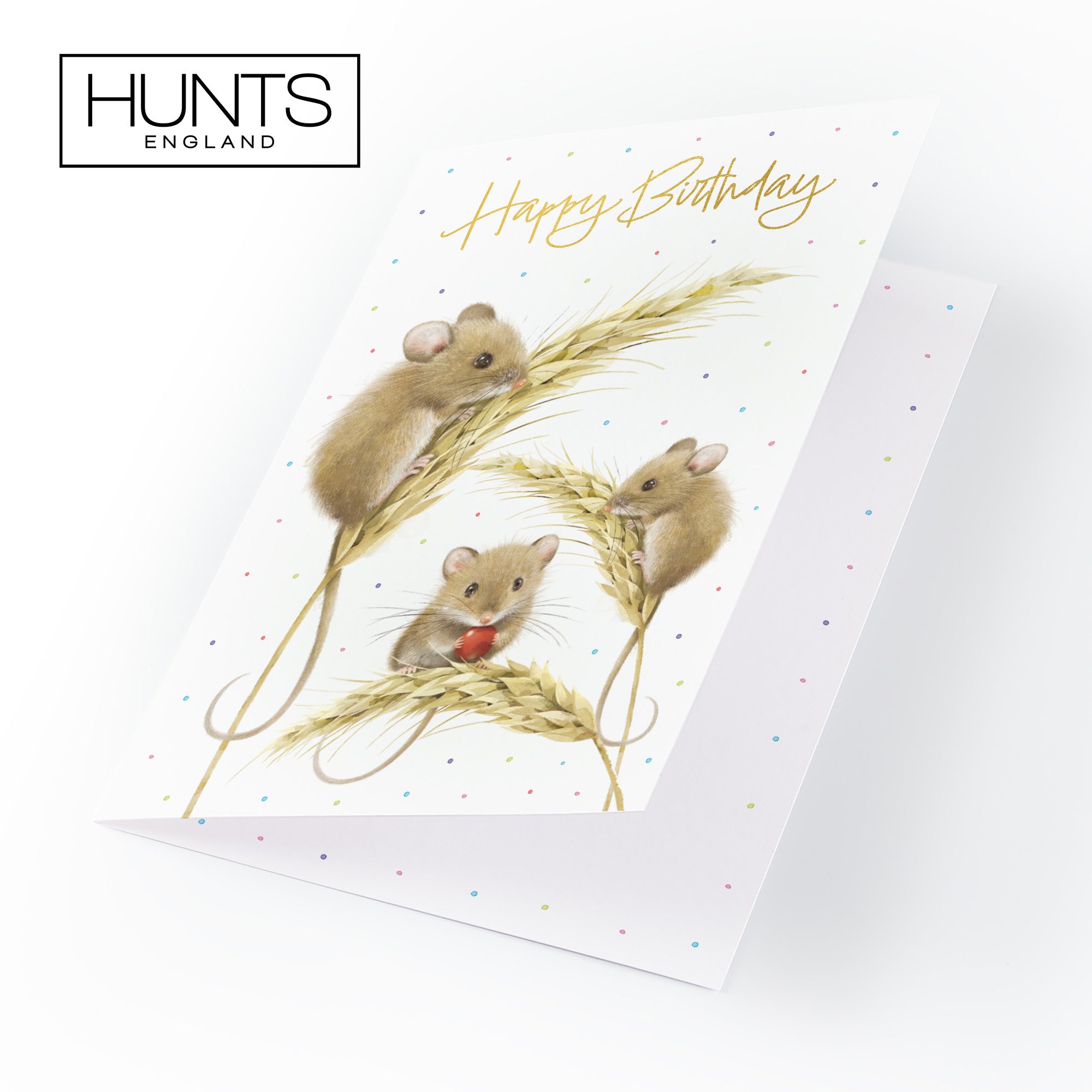 Male Gold Foil Birthday Card Harvest Mice Milo's Gallery - Default Title (B0DG352HCJ)