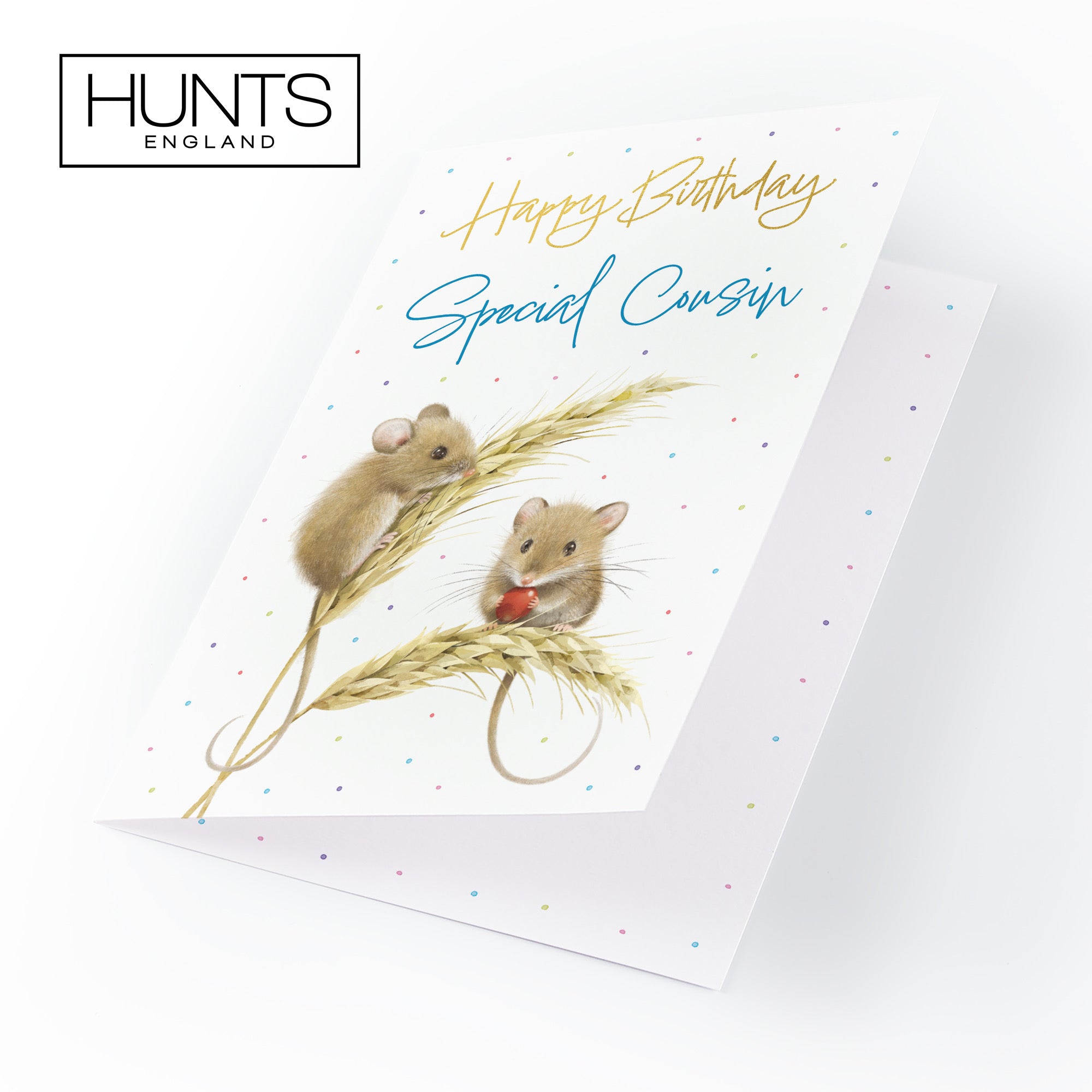 Male Cousin Gold Foil Birthday Card Harvest Mice Milo's Gallery - Default Title (B0DG35374W)