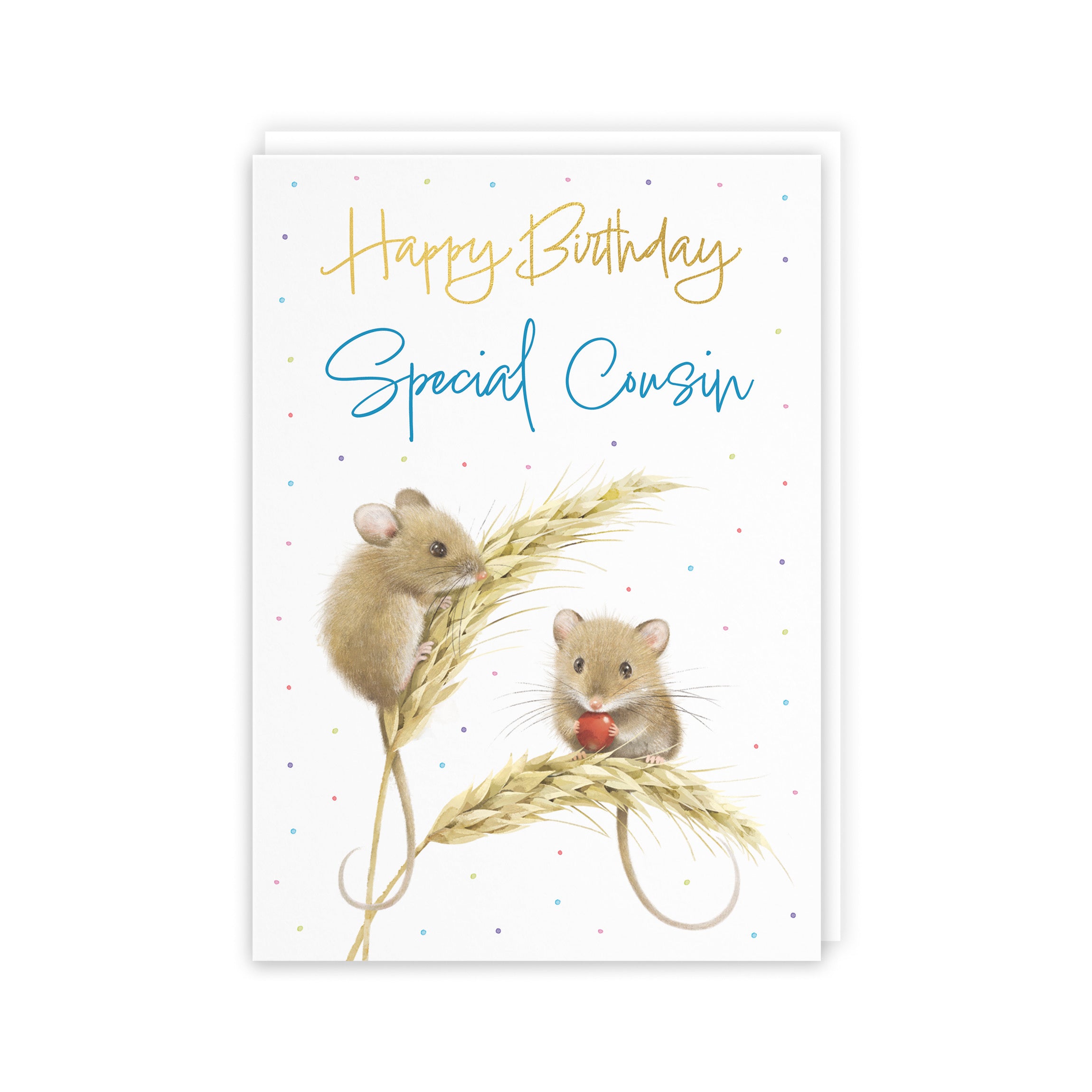 Male Cousin Gold Foil Birthday Card Harvest Mice Milo's Gallery - Default Title (B0DG35374W)