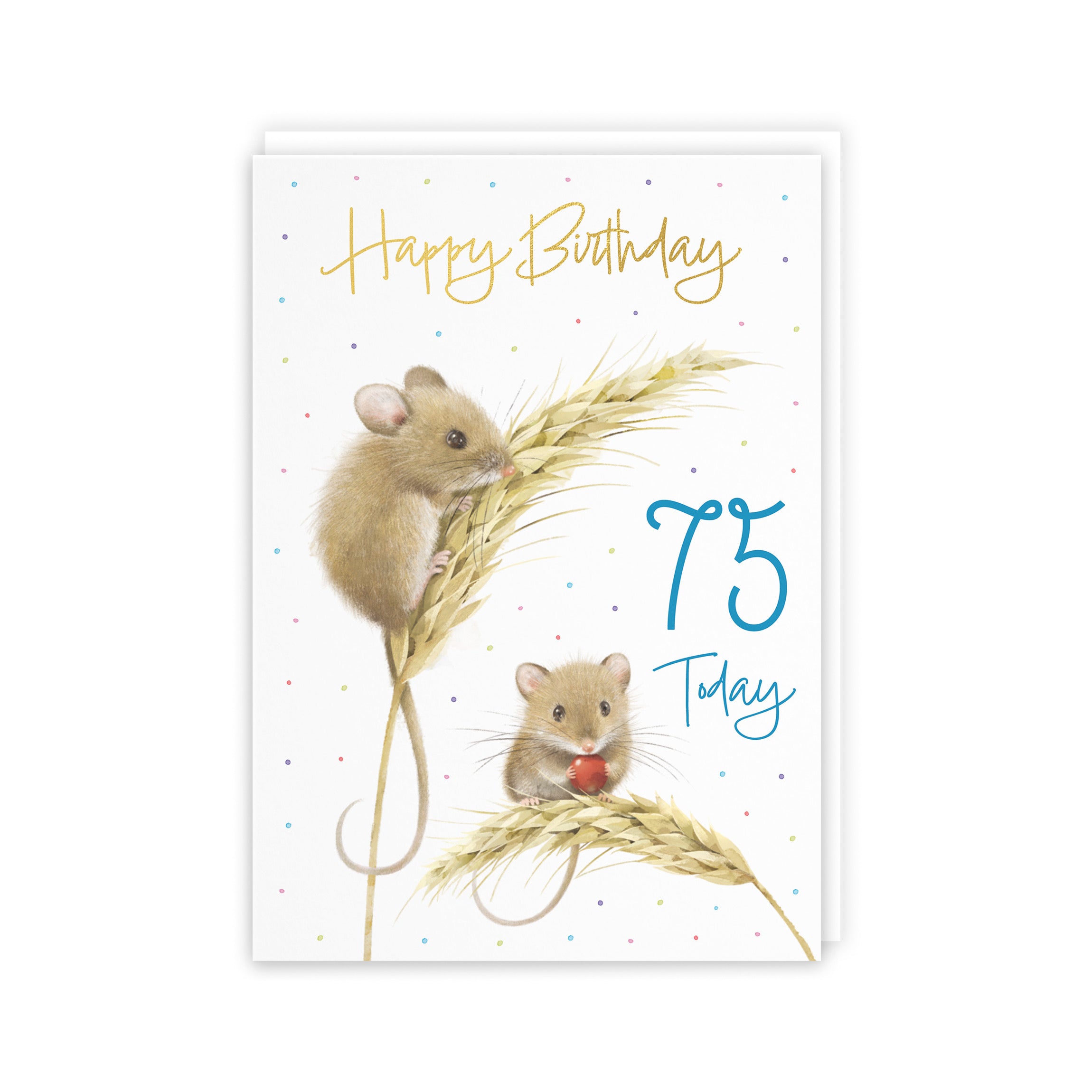 Male 75th Gold Foil Birthday Card Harvest Mice Milo's Gallery - Default Title (B0DG35442Q)