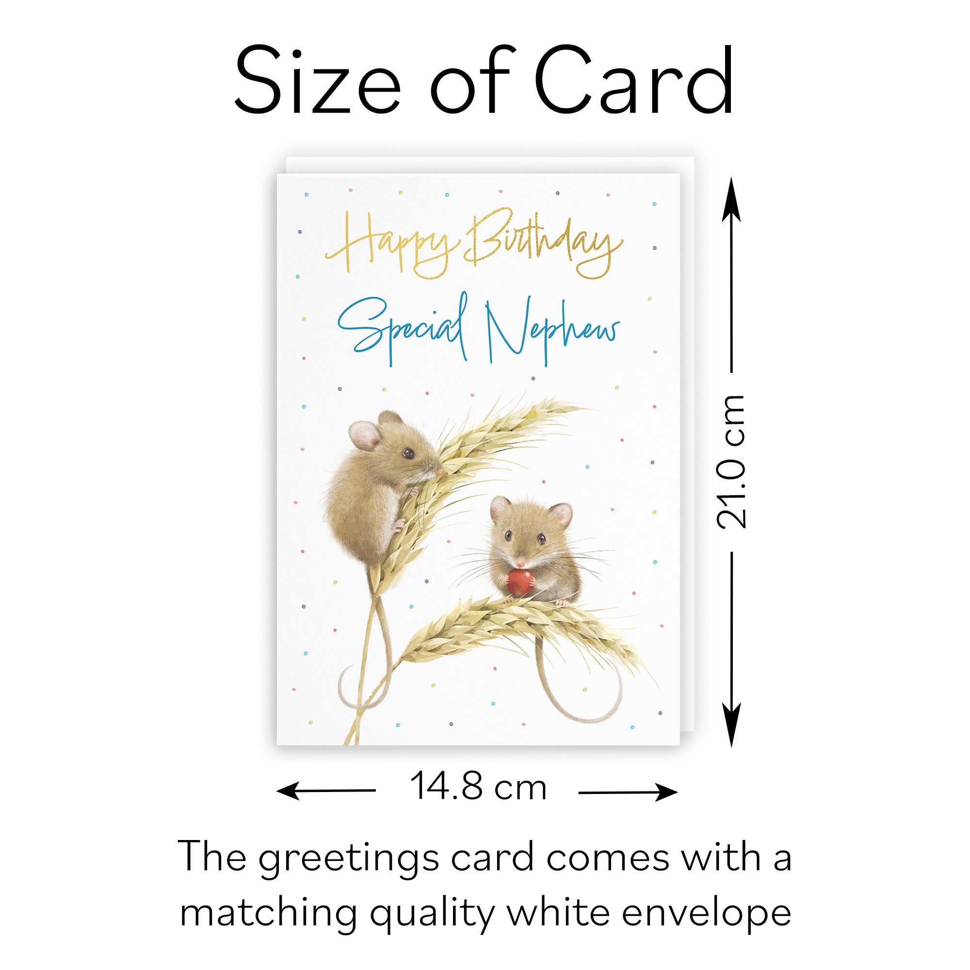 Nephew Gold Foil Birthday Card Harvest Mice Milo's Gallery - Default Title (B0DG355GM5)