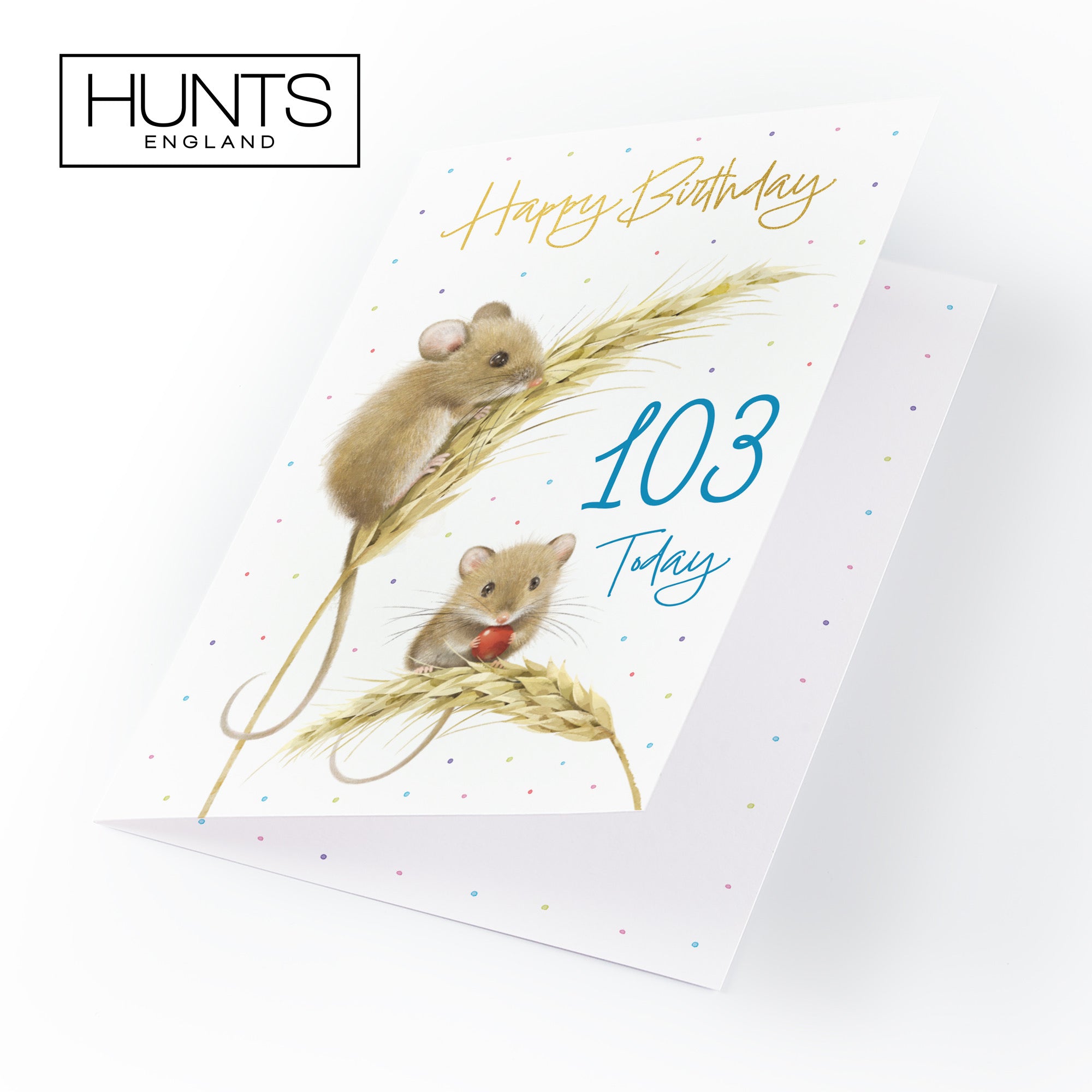 Male 103rd Gold Foil Birthday Card Harvest Mice Milo's Gallery - Default Title (B0DG356N4M)