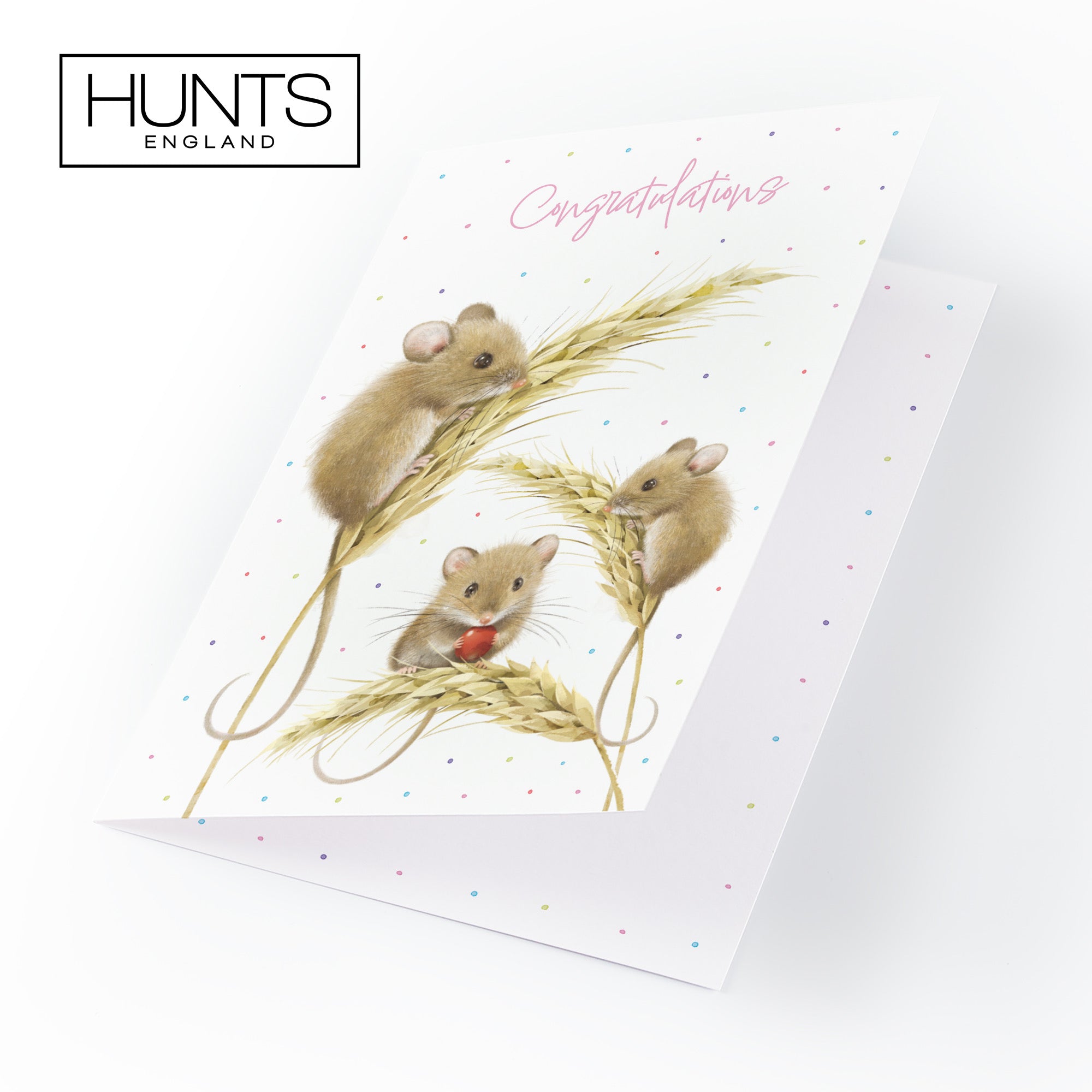 Female Congratulations Card Harvest Mice Milo's Gallery - Default Title (B0DG35VS3W)