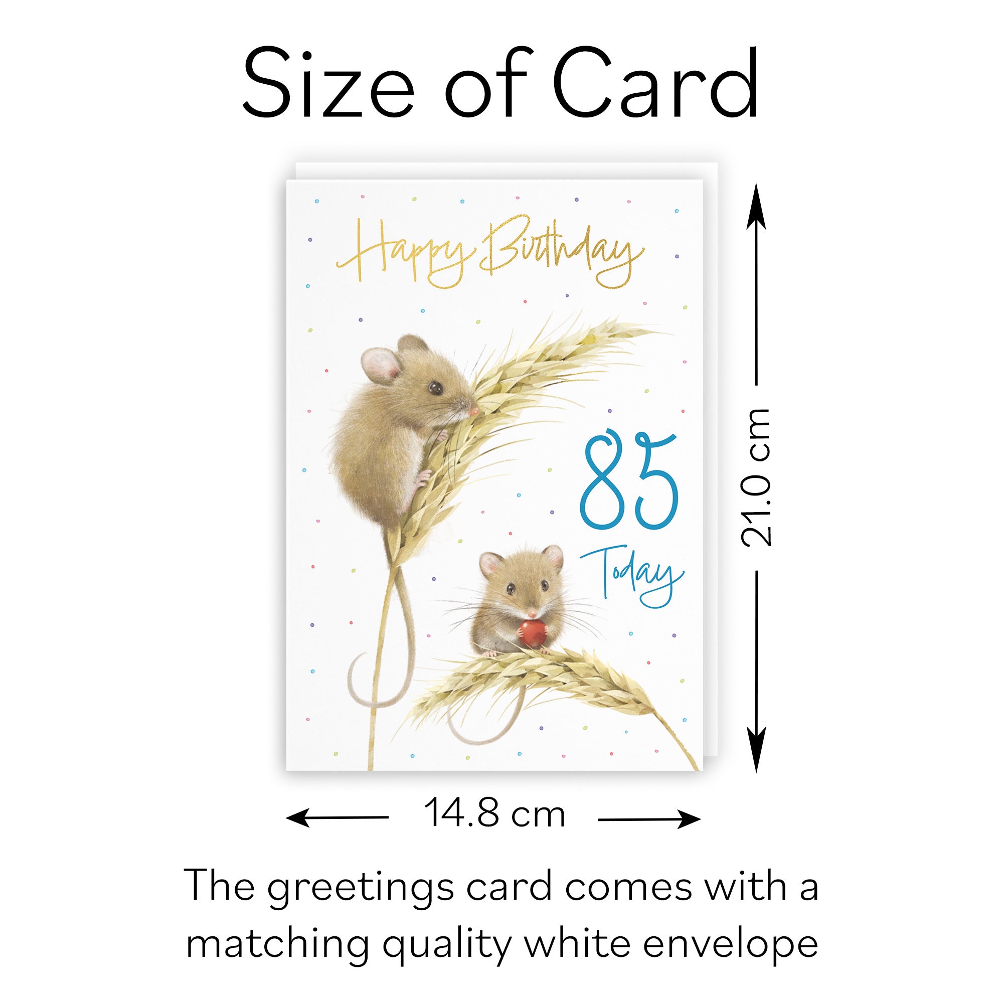 Male 85th Gold Foil Birthday Card Harvest Mice Milo's Gallery - Default Title (B0DG3619KR)