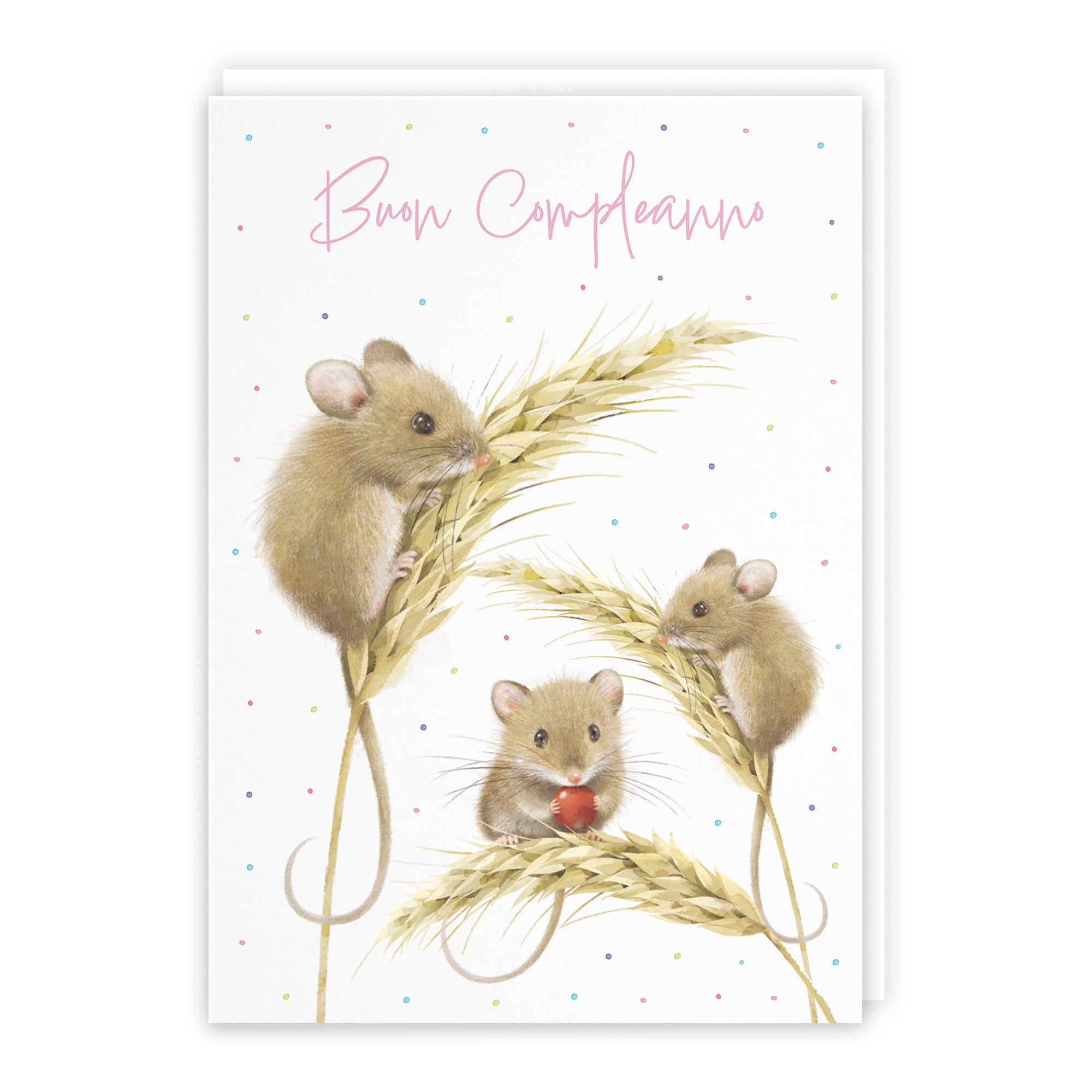 Female Italian Birthday Card Harvest Mice Milo's Gallery - Default Title (B0DG36D89F)