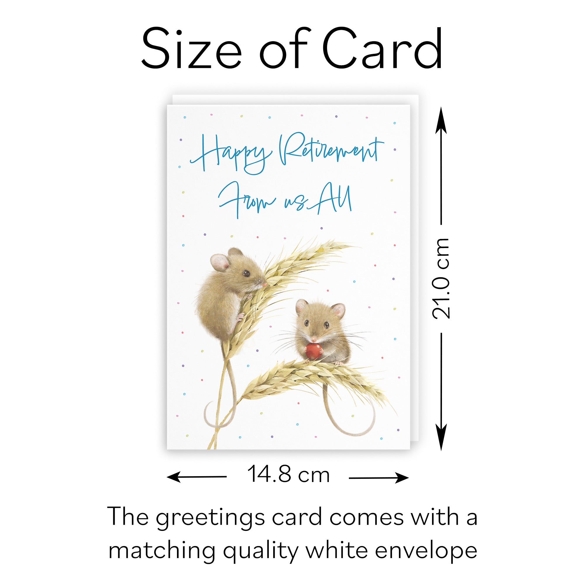 Male Retirement Card From Us All Harvest Mice Milo's Gallery - Default Title (B0DG36QZS4)