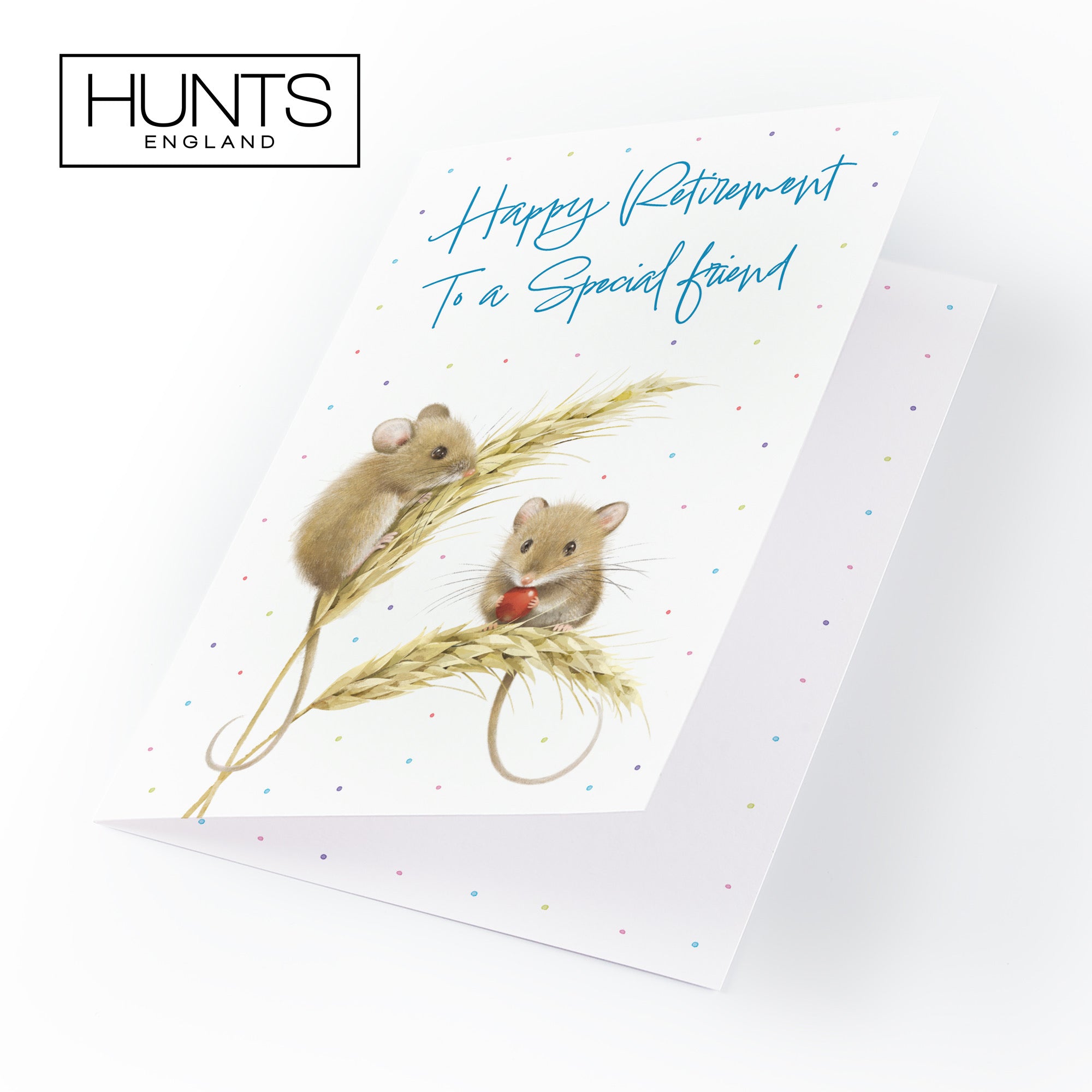 Friend Male Retirement Card Harvest Mice Milo's Gallery - Default Title (B0DG36SQ7F)