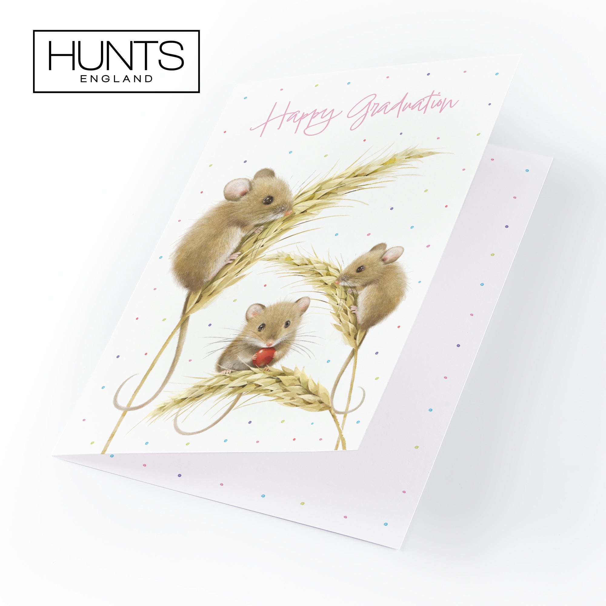 Female Graduation Card Harvest Mice Milo's Gallery - Default Title (B0DG36YD4K)