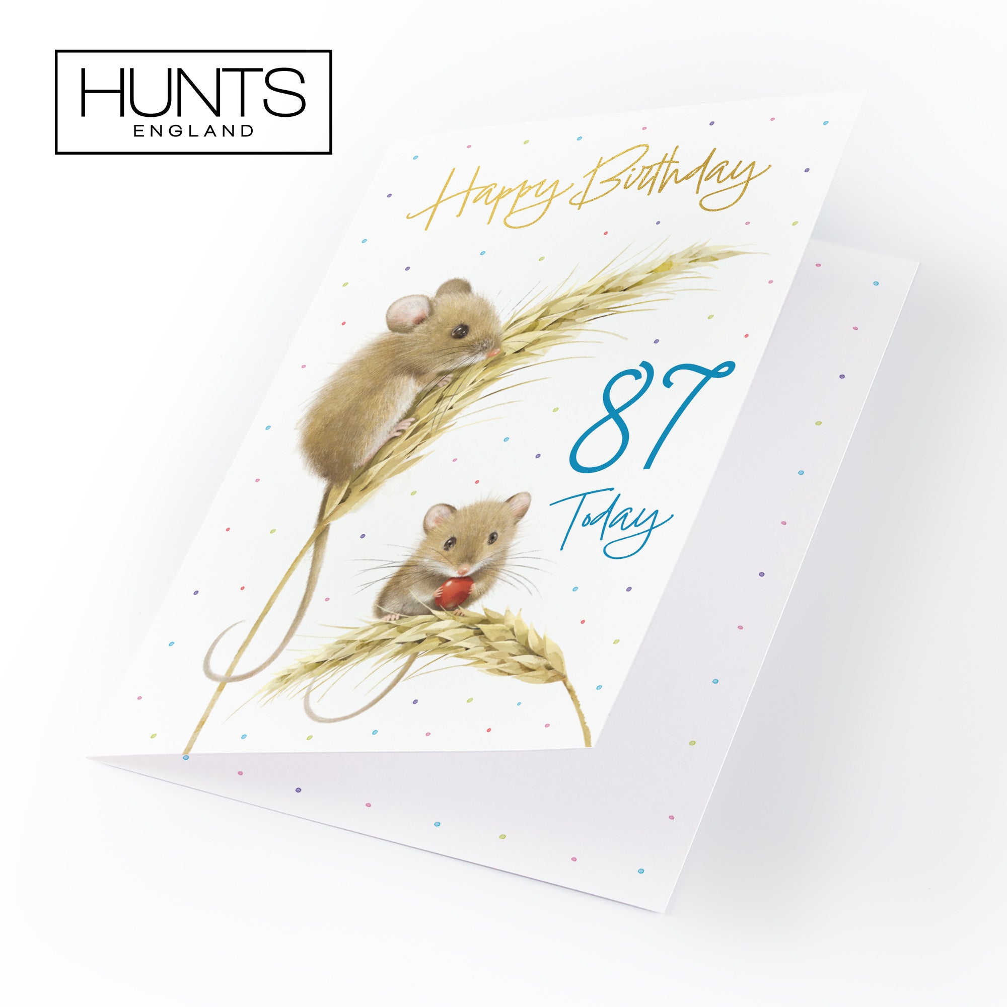 Male 87th Gold Foil Birthday Card Harvest Mice Milo's Gallery - Default Title (B0DG37KH71)