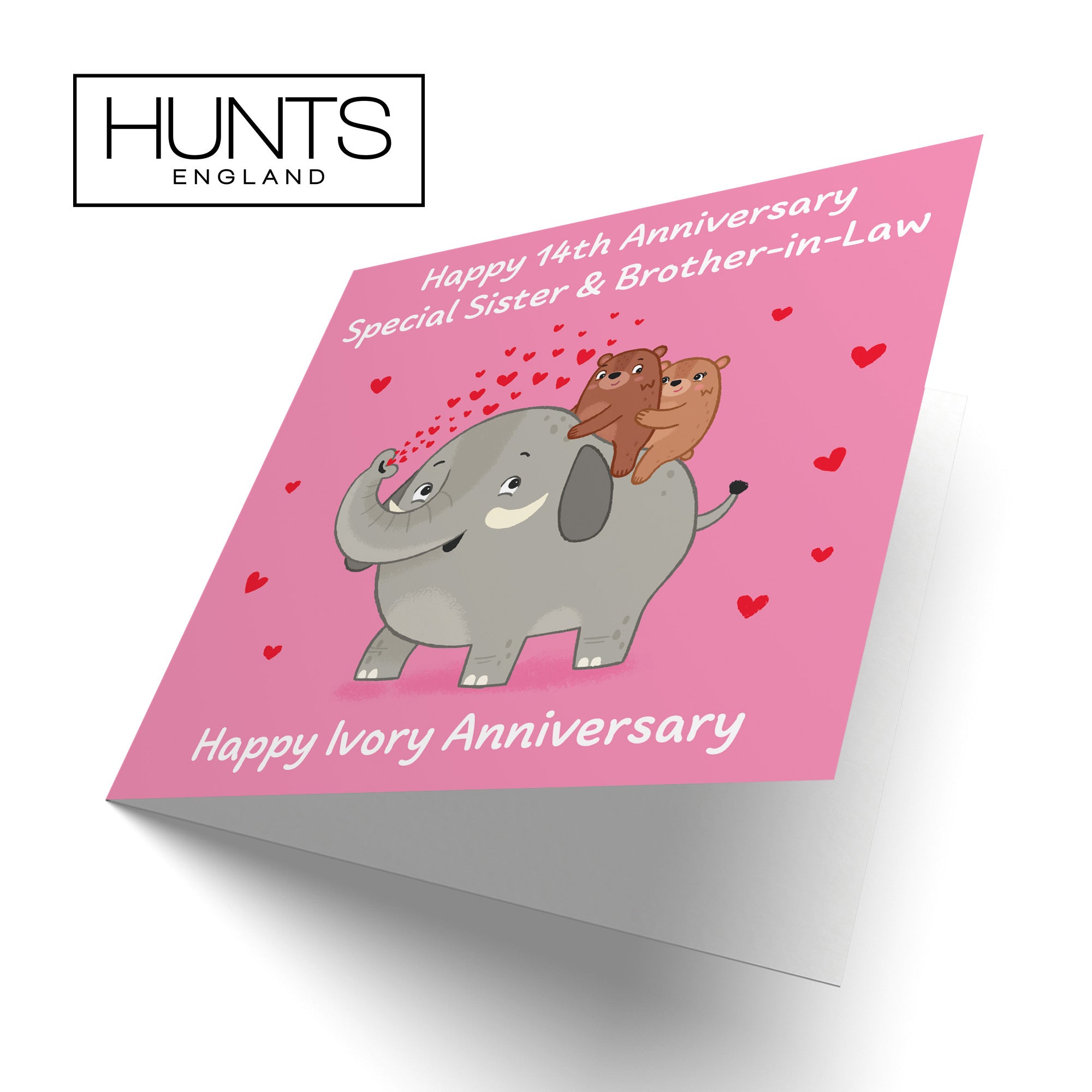 14th Sister And Brother In Law Anniversary Card Love Story - Default Title (B0DHW8GFKH)