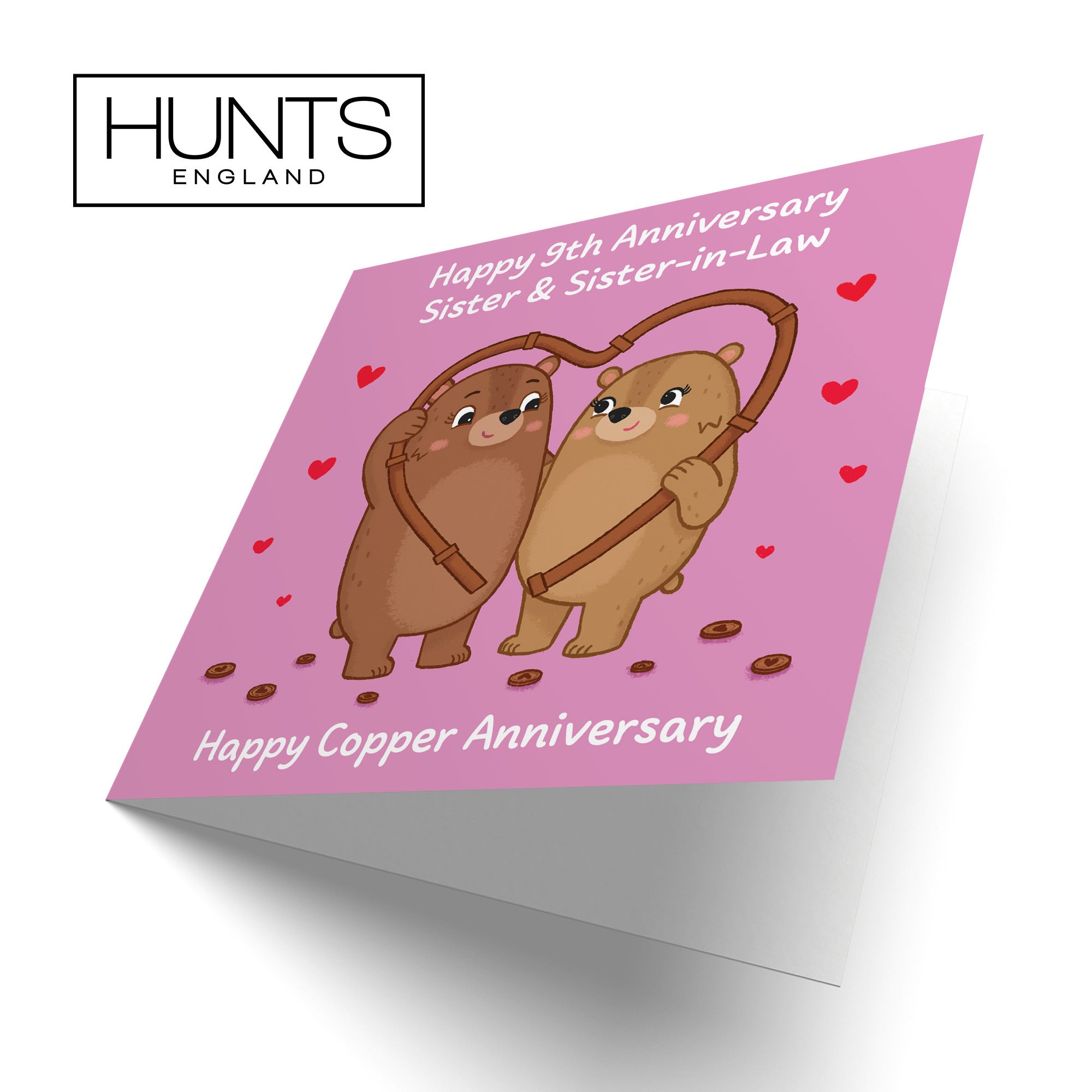 9th Sister And Sister In Law Anniversary Card Love Story - Default Title (B0DHW8T9RH)