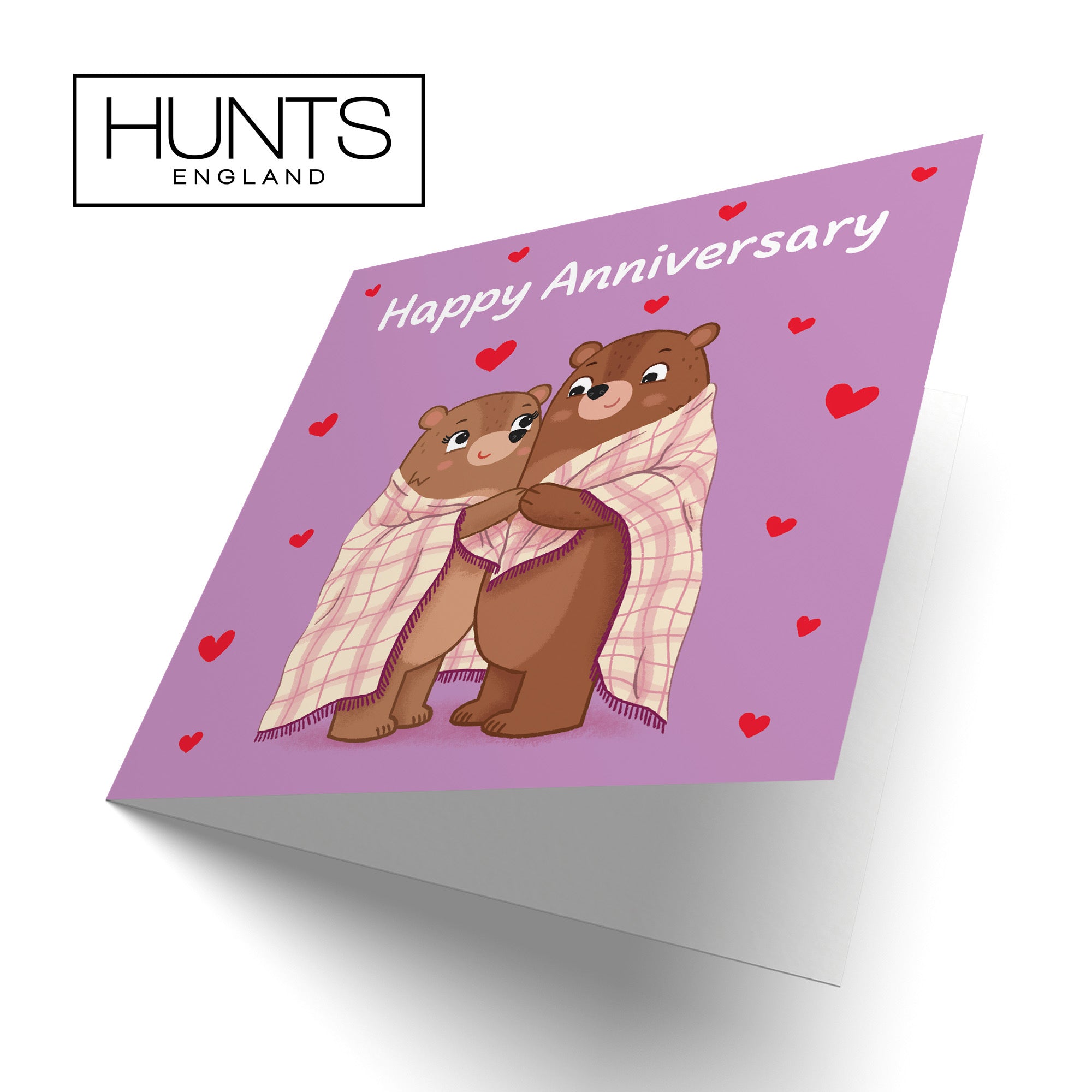 Snuggly Bears Anniversary Card Love Story - Default Title (B0DHW8V82Q)