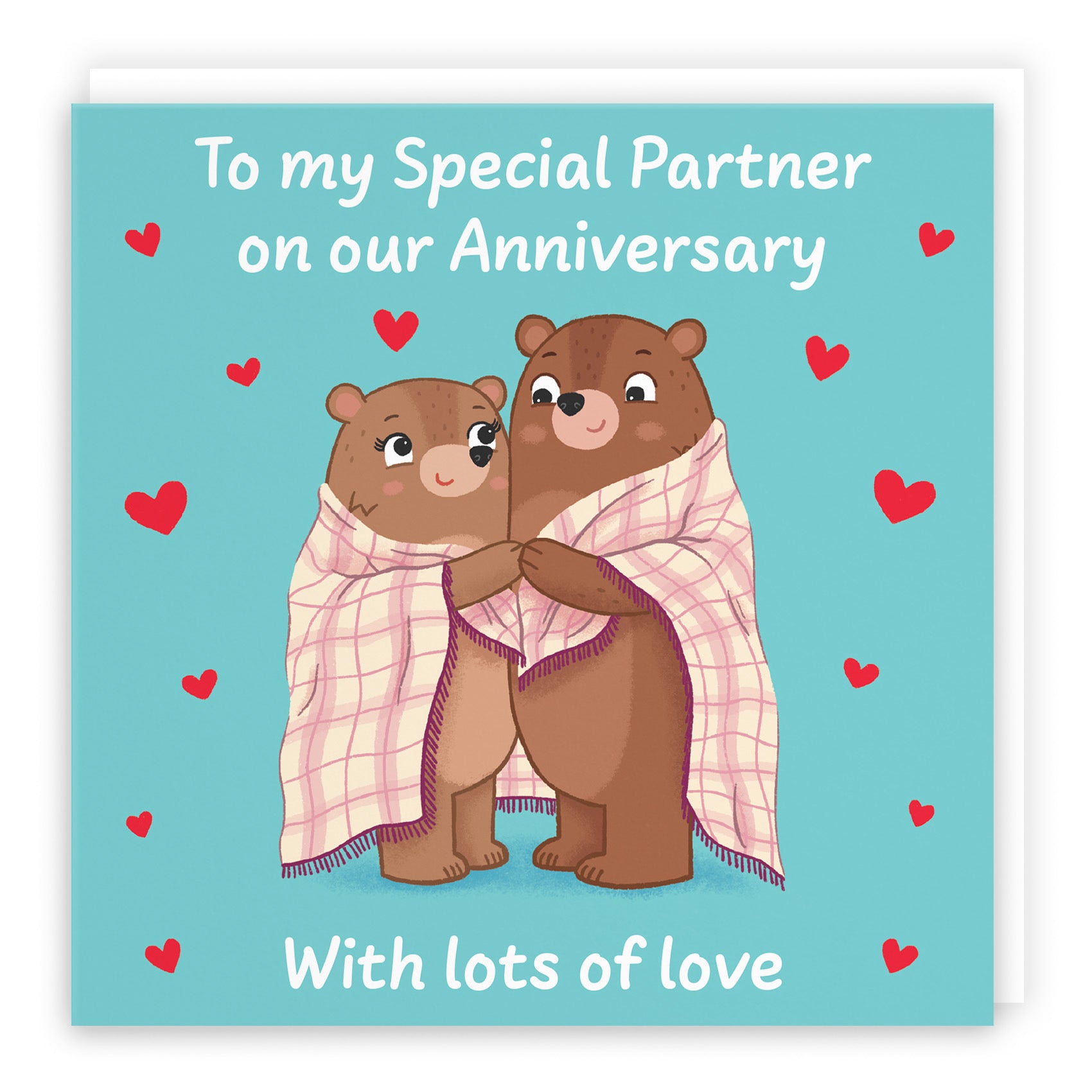 Partner Anniversary Card Snuggly Bears Love Story - Default Title (B0DHWBYS49)