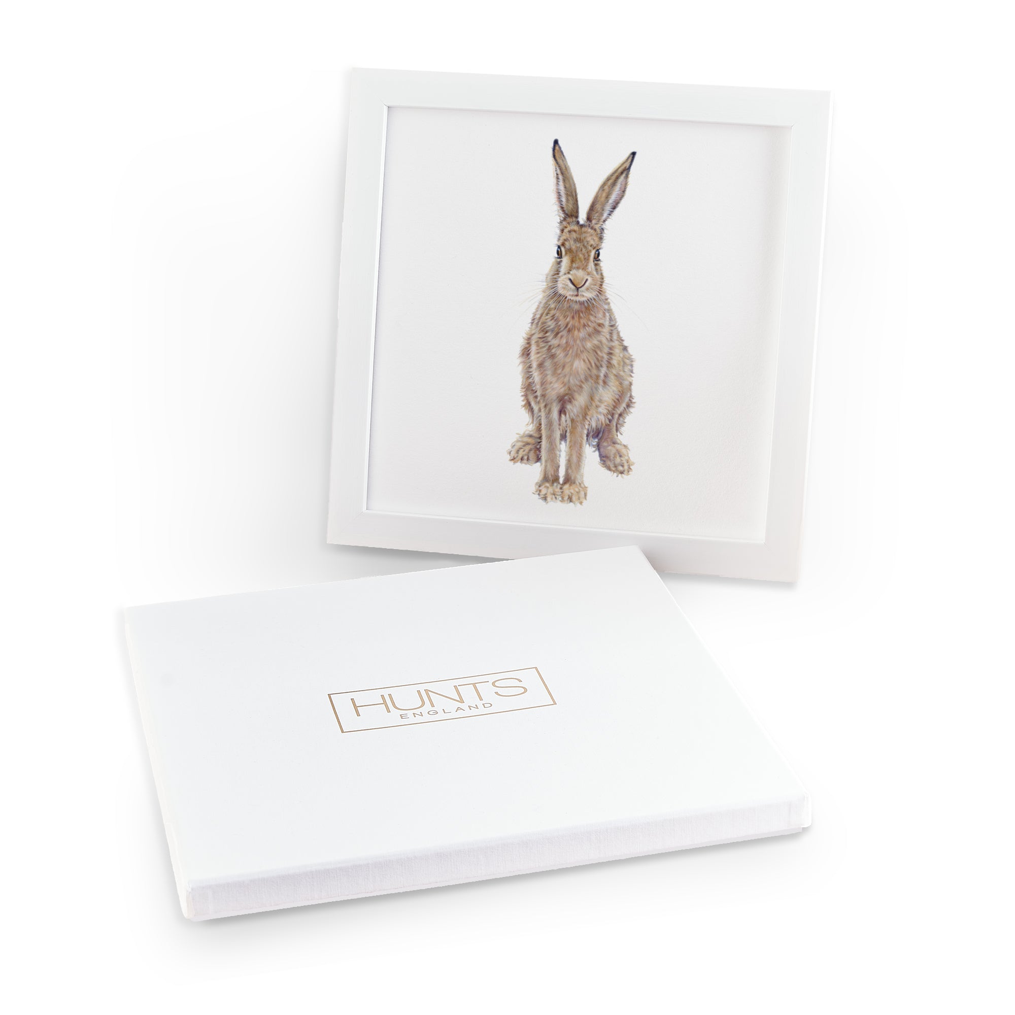 'The Hare' Fine Art Framed Print In Luxury Box