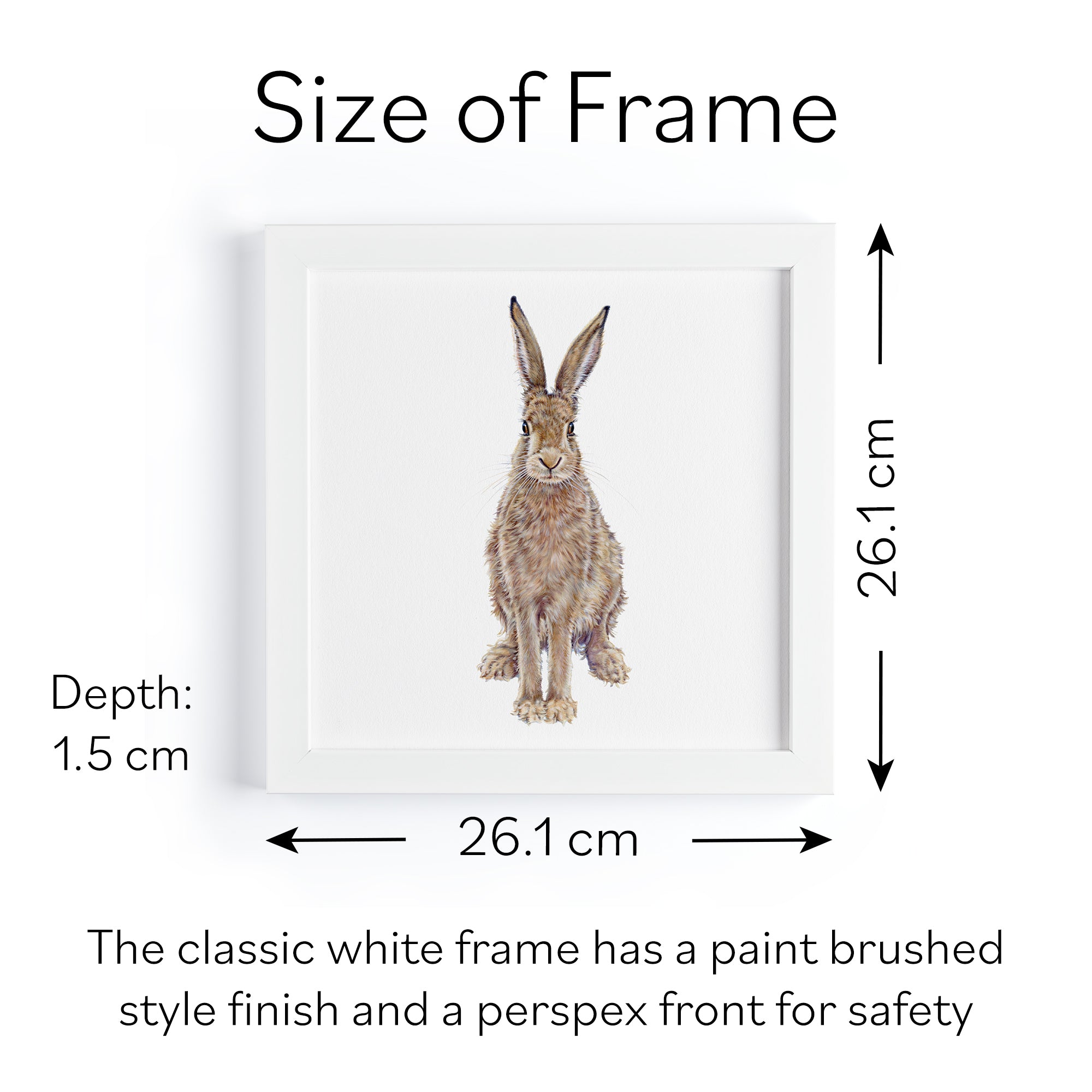 'The Hare' Fine Art Framed Print In Luxury Box