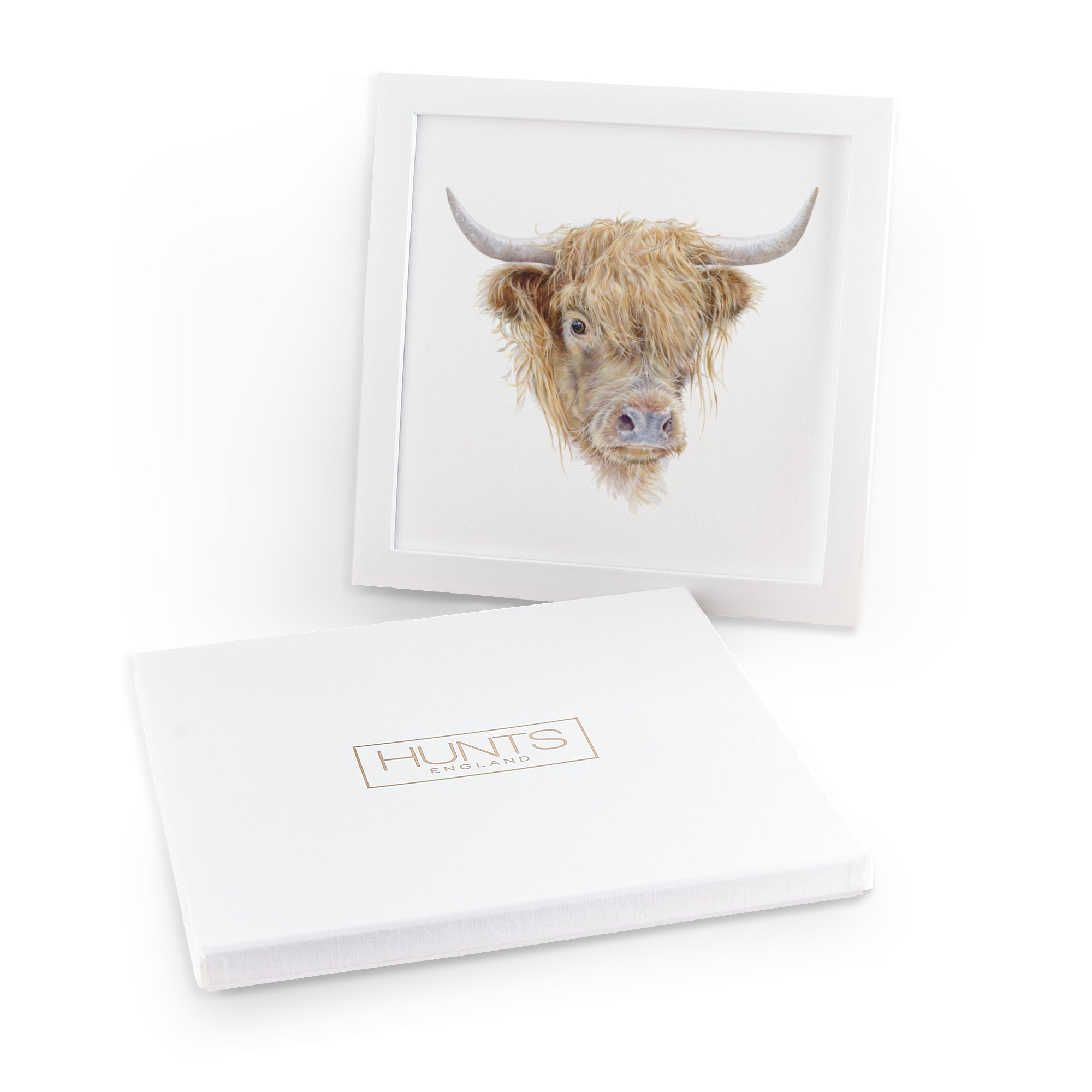 'Highland Cow' Fine Art Framed Print In Luxury Box