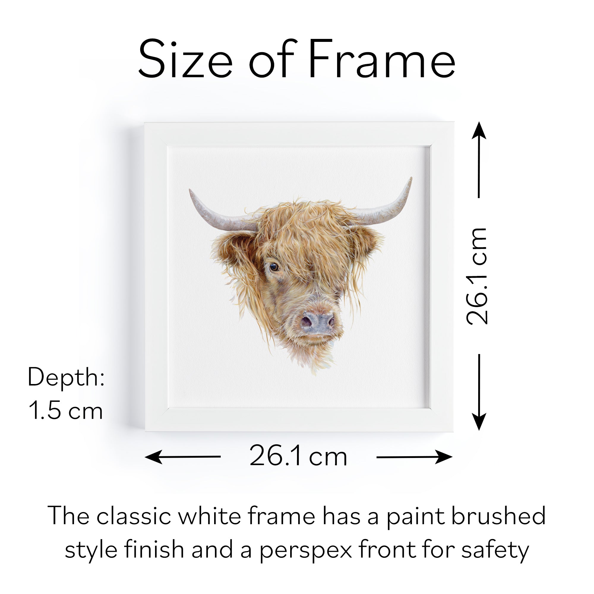 'Highland Cow' Fine Art Framed Print In Luxury Box