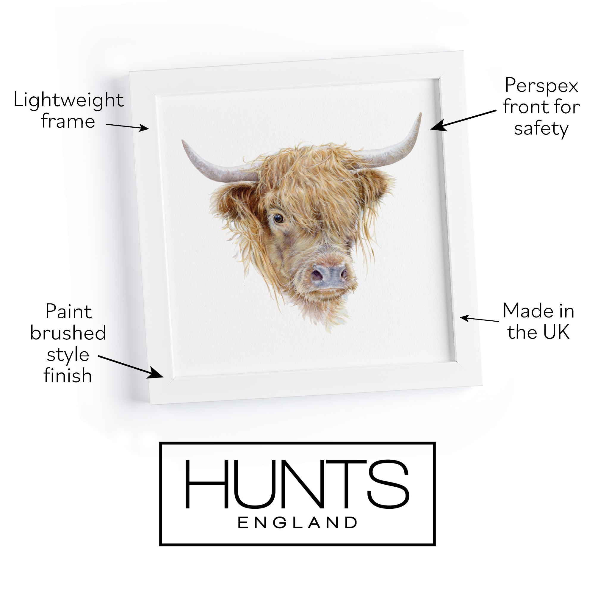 'Highland Cow' Fine Art Framed Print In Luxury Box