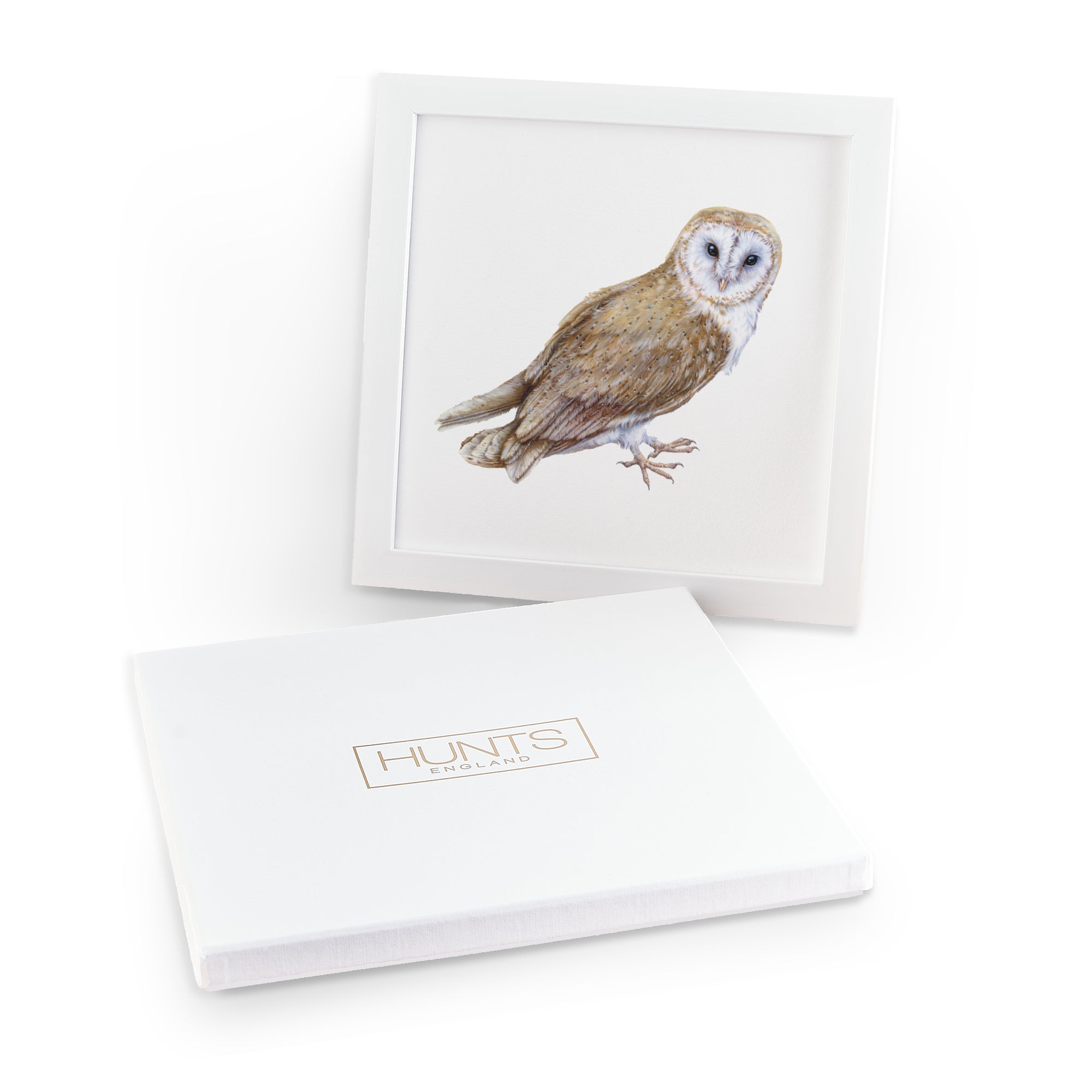 'The Owl' Fine Art Framed Print In Luxury Box