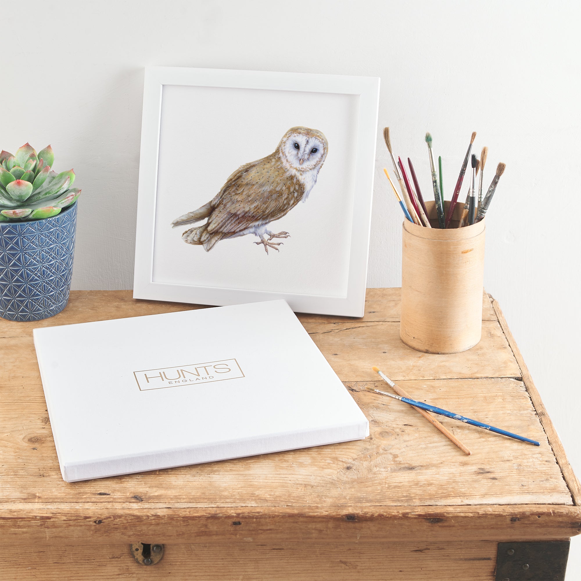 'The Owl' Fine Art Framed Print In Luxury Box