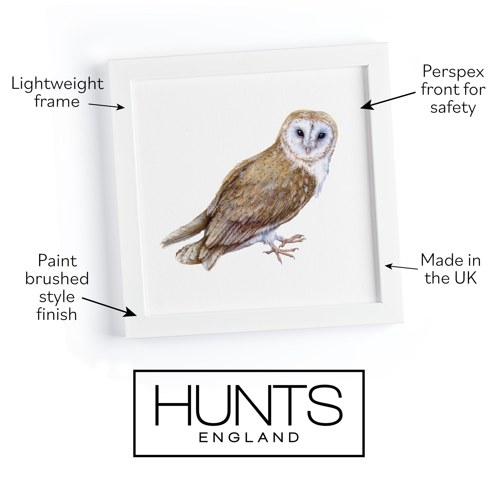 'The Owl' Fine Art Framed Print In Luxury Box