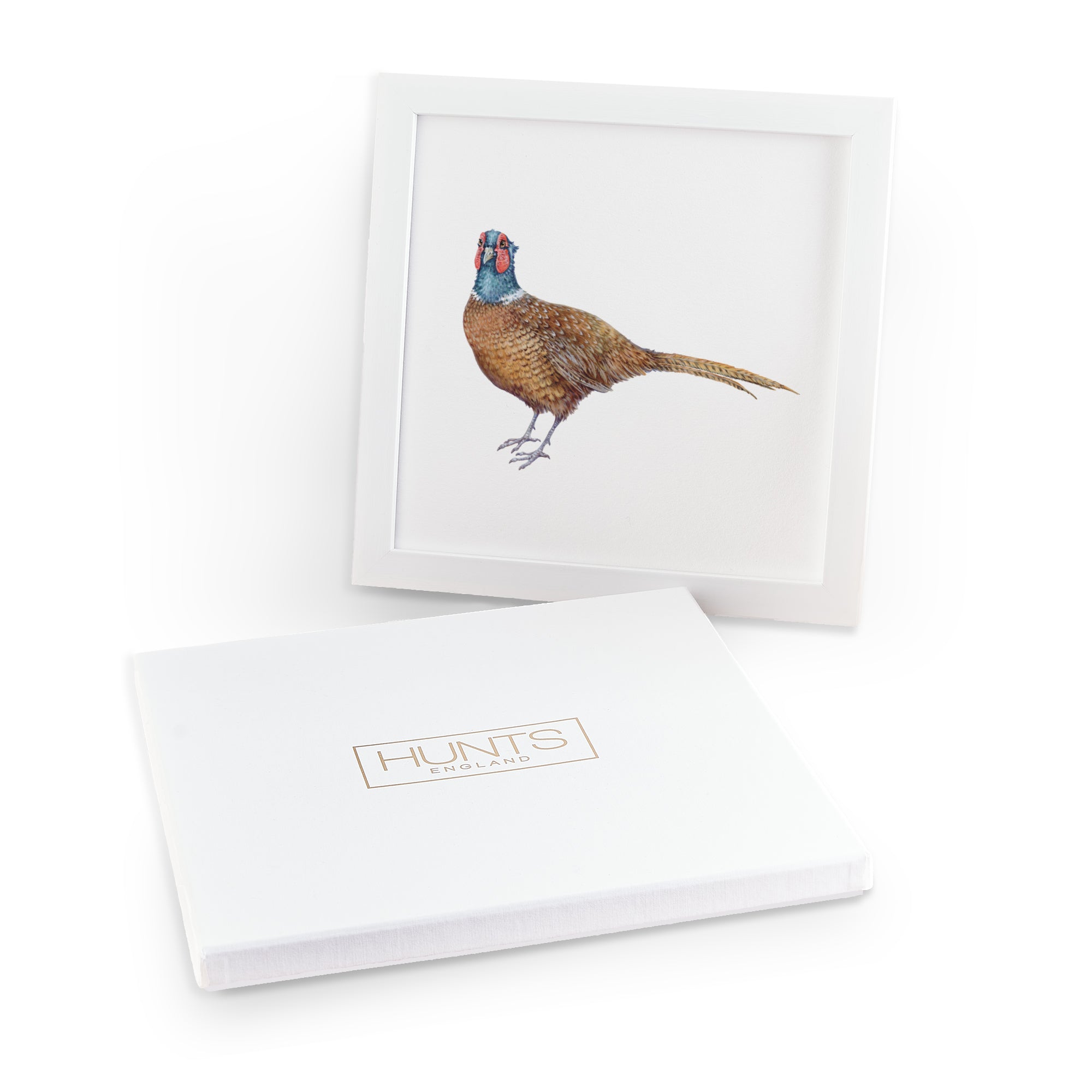 'The Pheasant' Fine Art Framed Print In Luxury Box