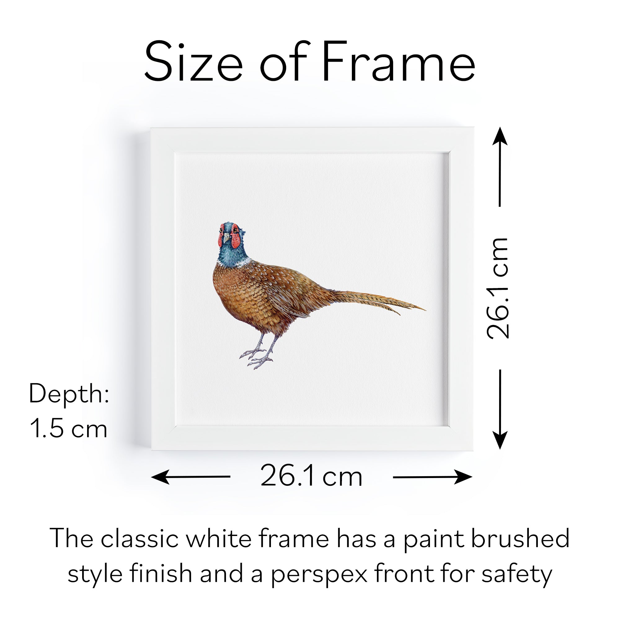 'The Pheasant' Fine Art Framed Print In Luxury Box