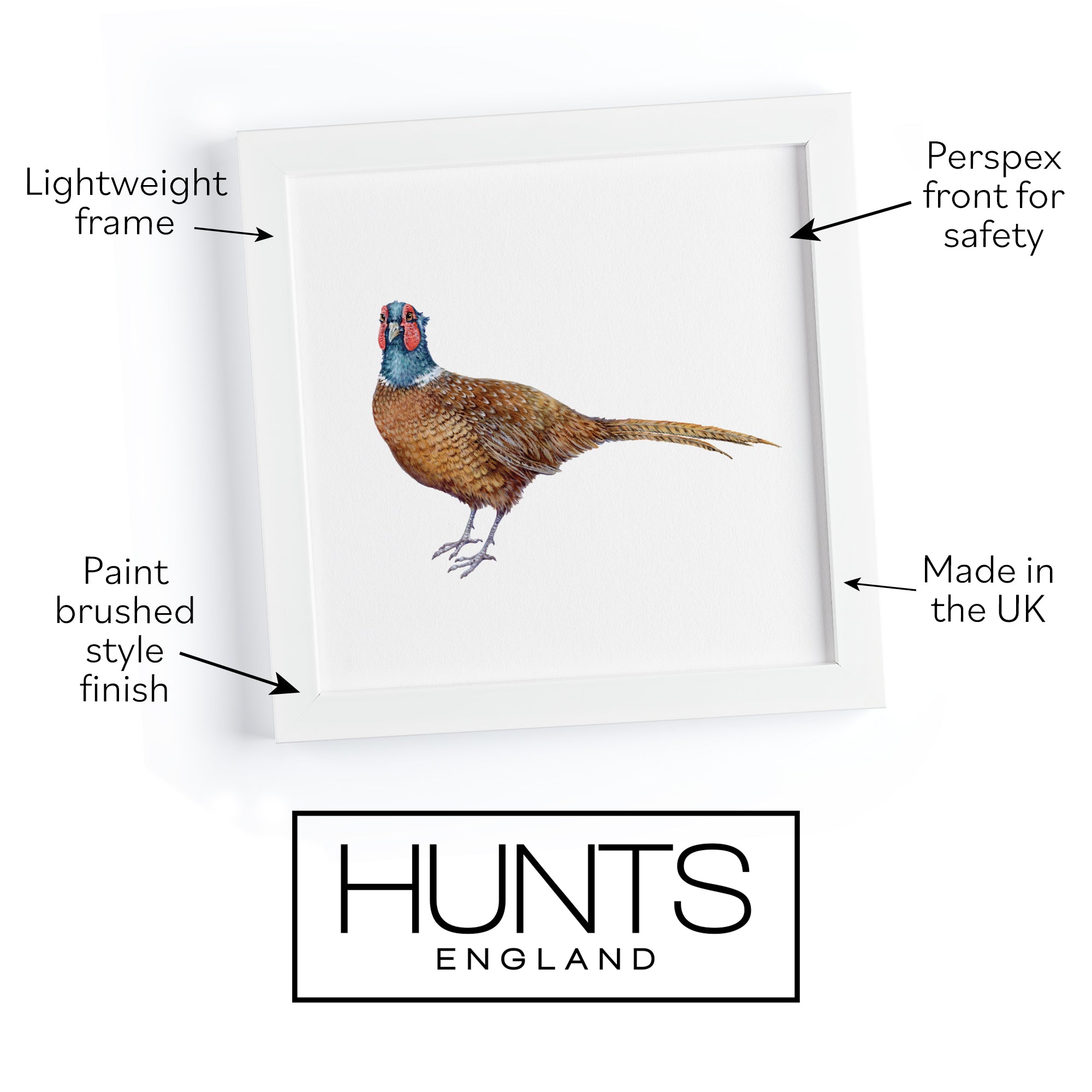 'The Pheasant' Fine Art Framed Print In Luxury Box